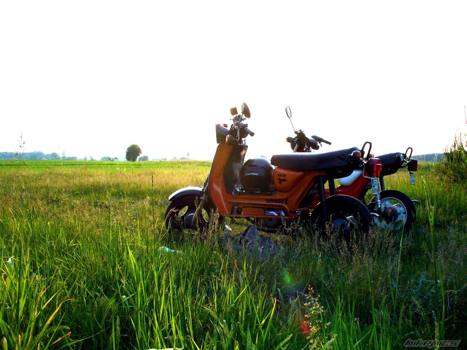 Photo 2239944