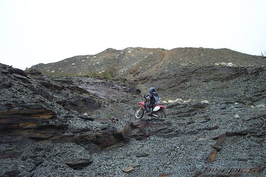 Photo 223996