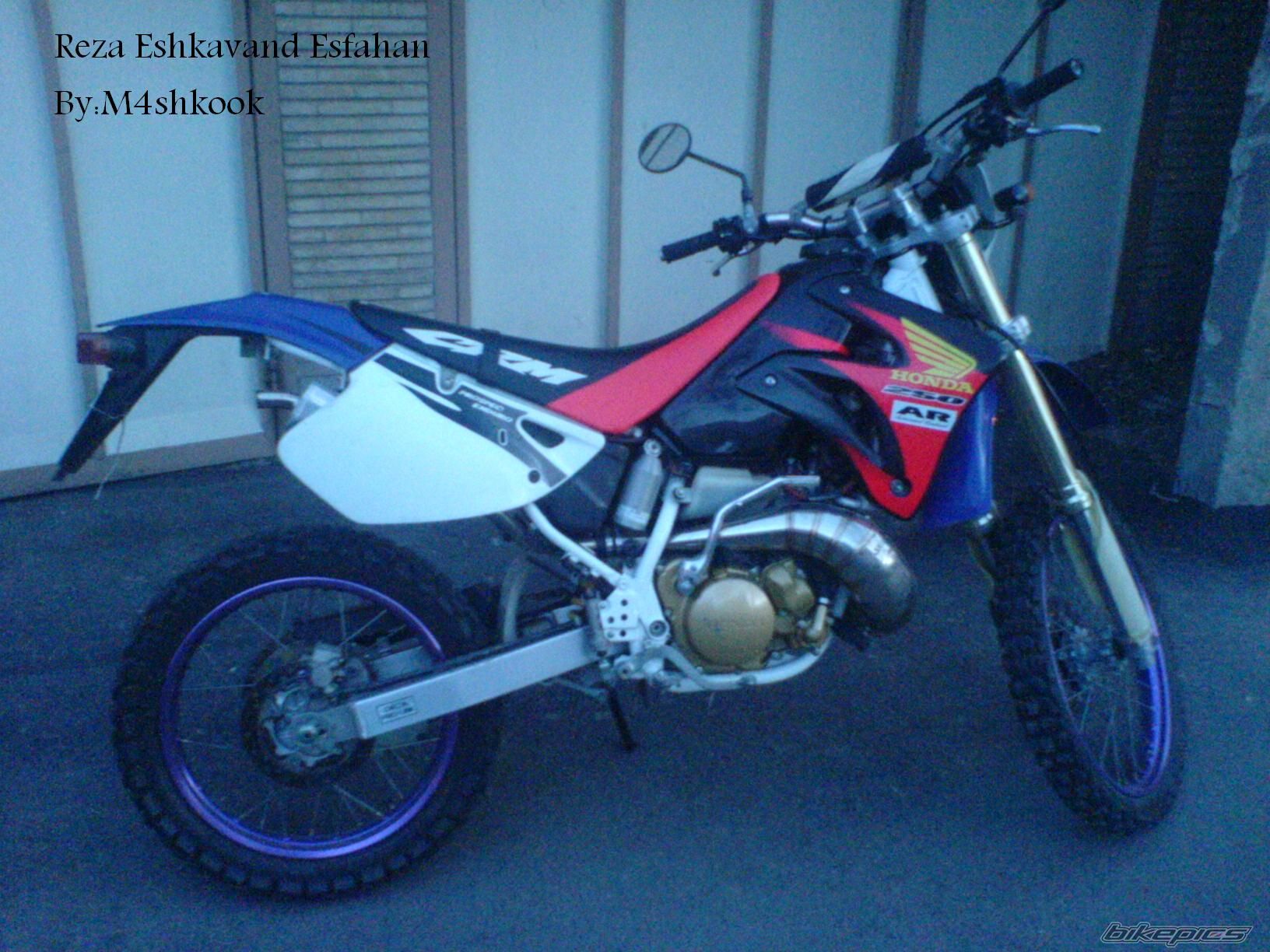 Photo 2240075