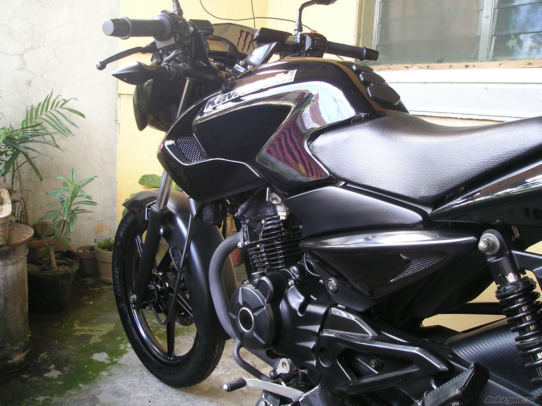 Photo 2240097