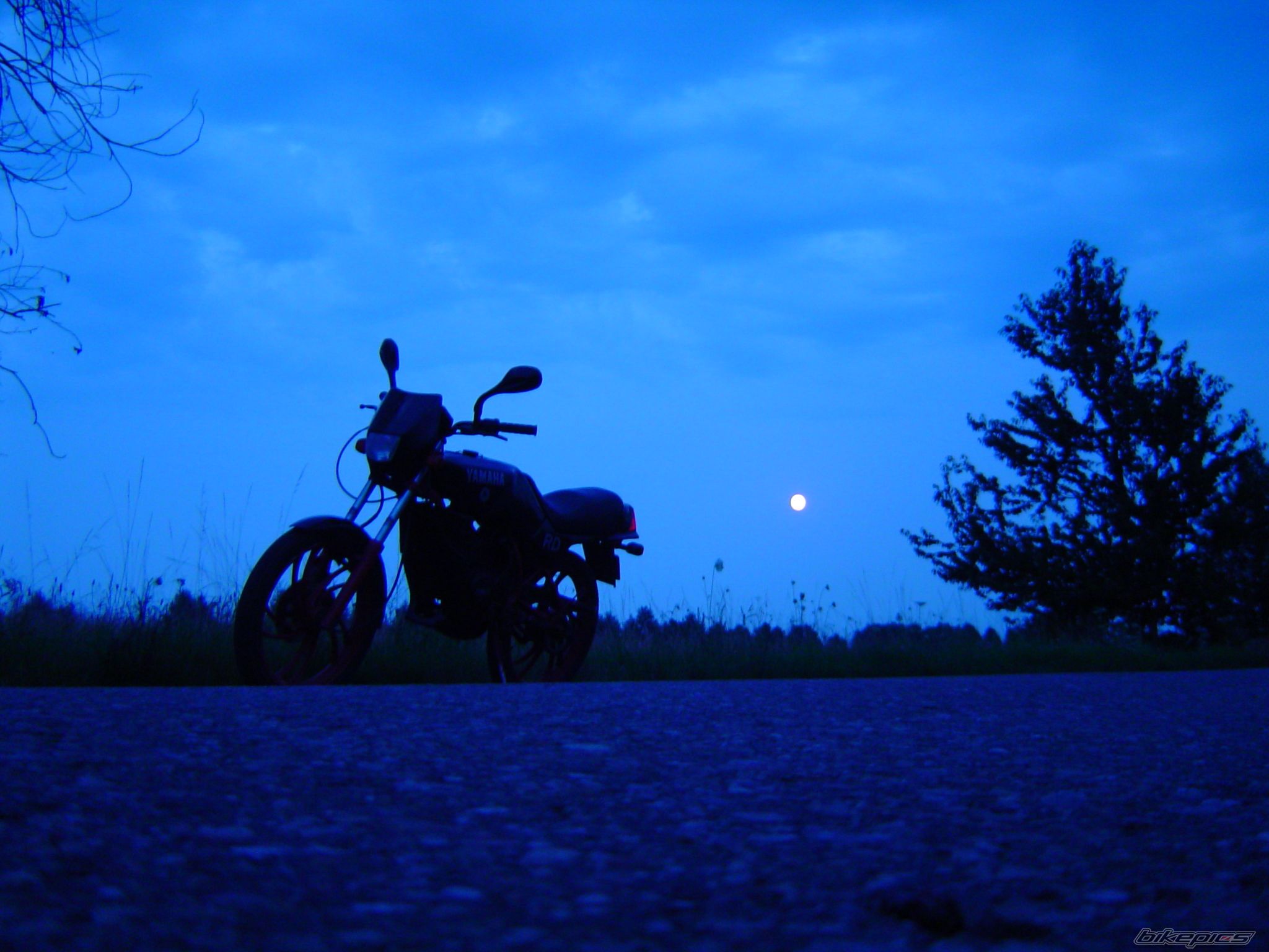 Photo 2240260