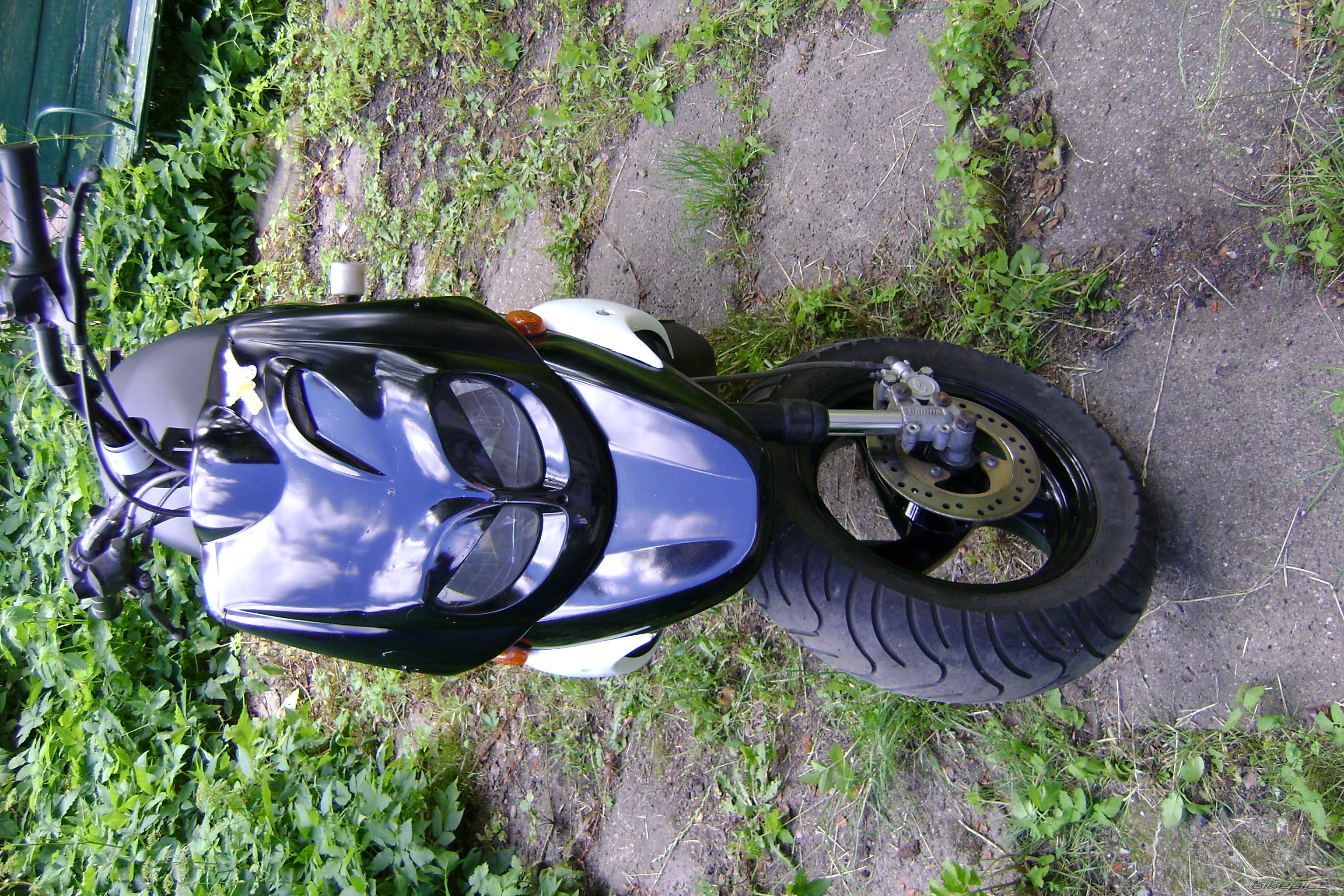 Photo 2240263