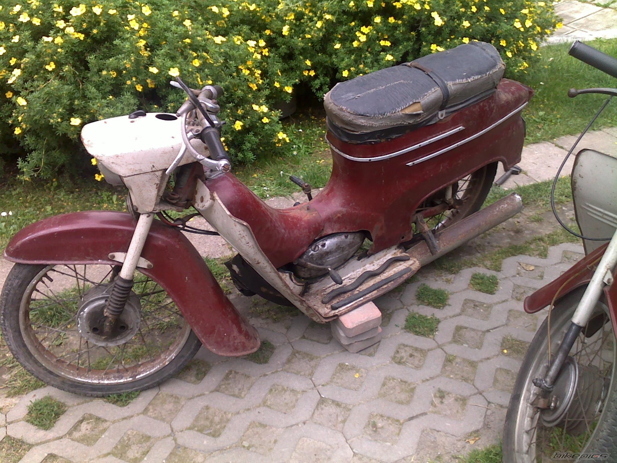 Photo 2240294