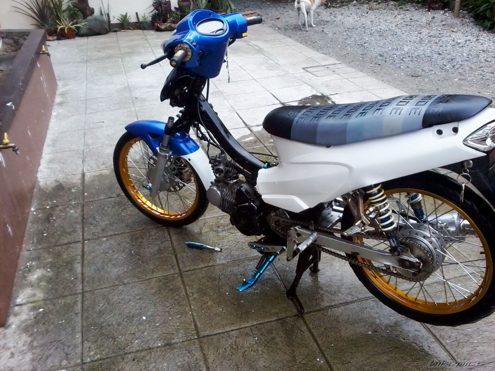 Bike Photo 2240320