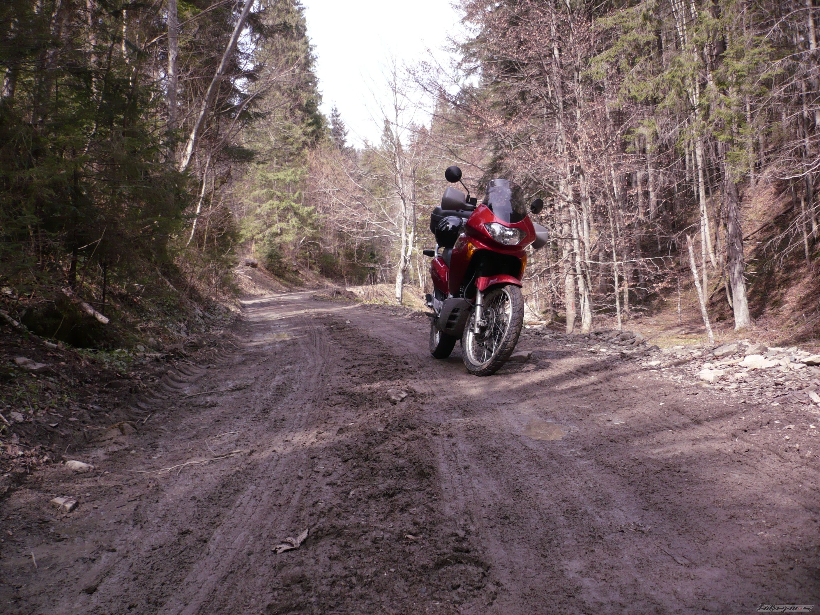 Photo 2240352