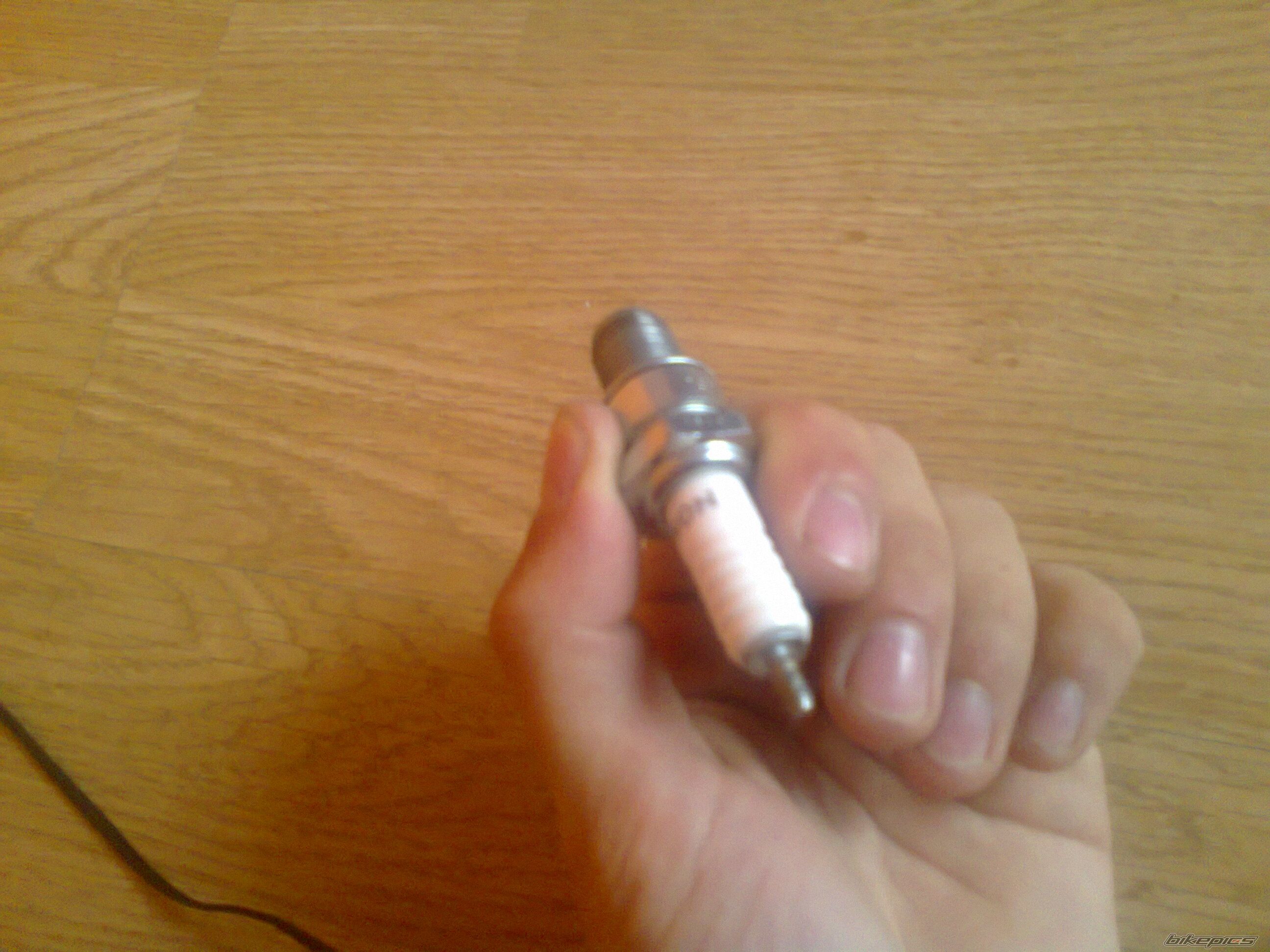 Photo 2240432