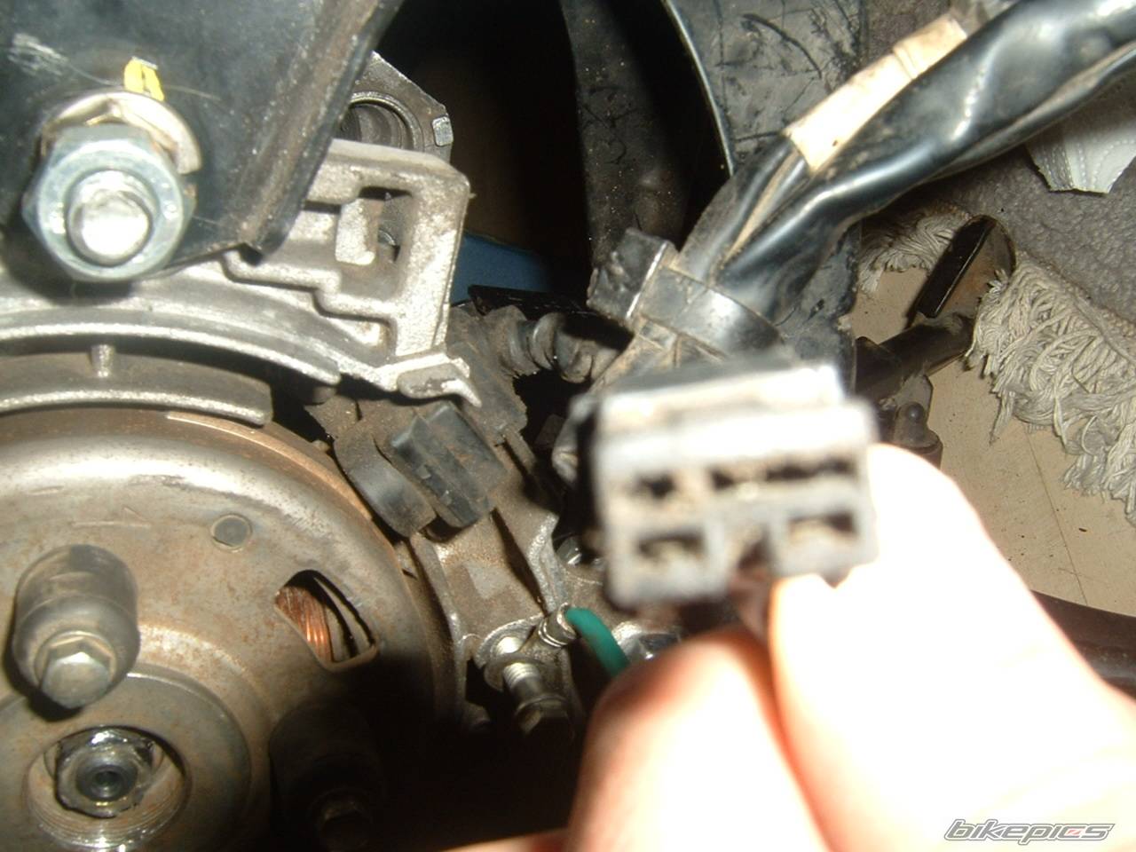 Photo 224051