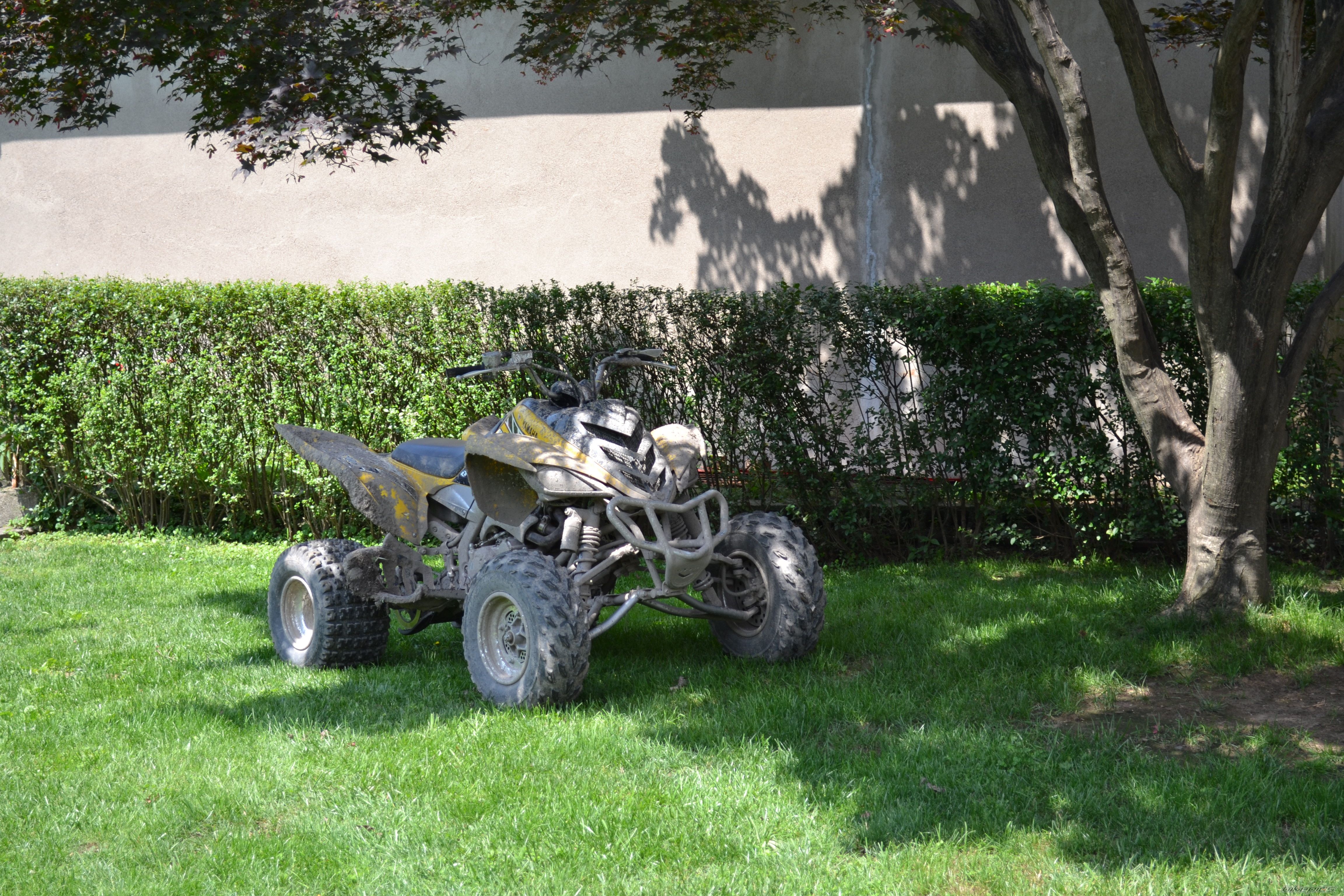 Photo 2240513