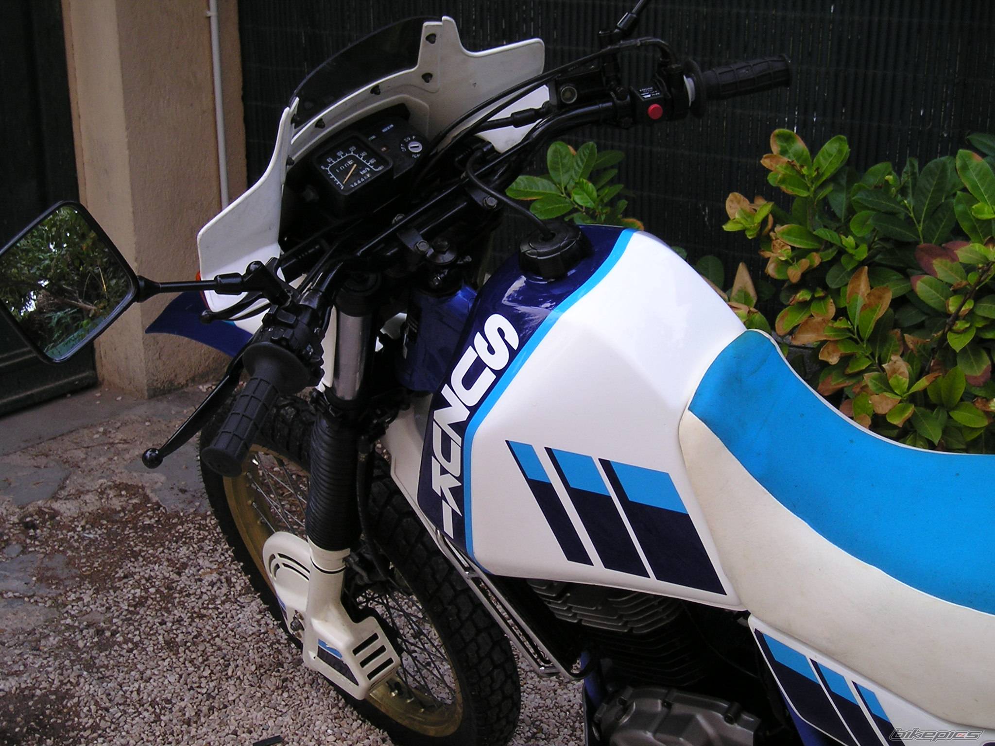 Photo 224055