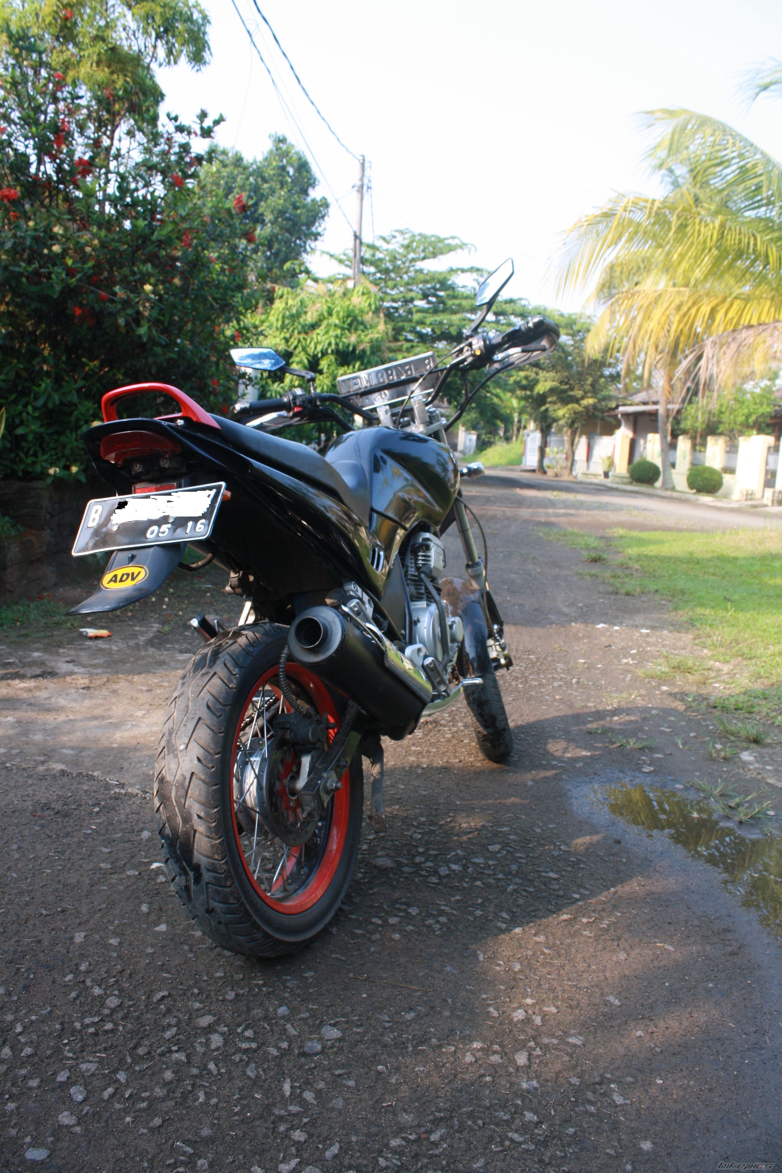 Photo 2240565