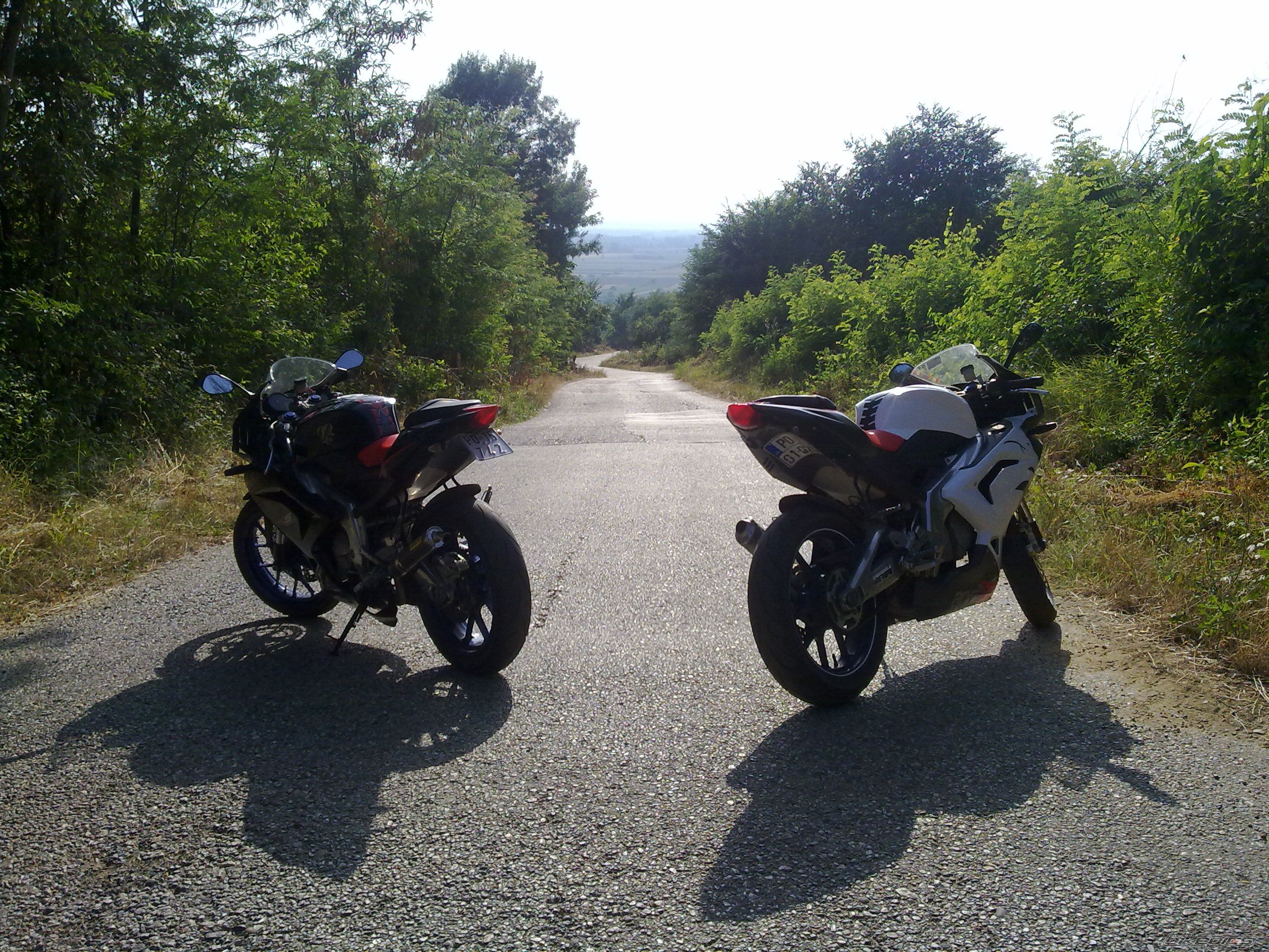 Photo 2240588
