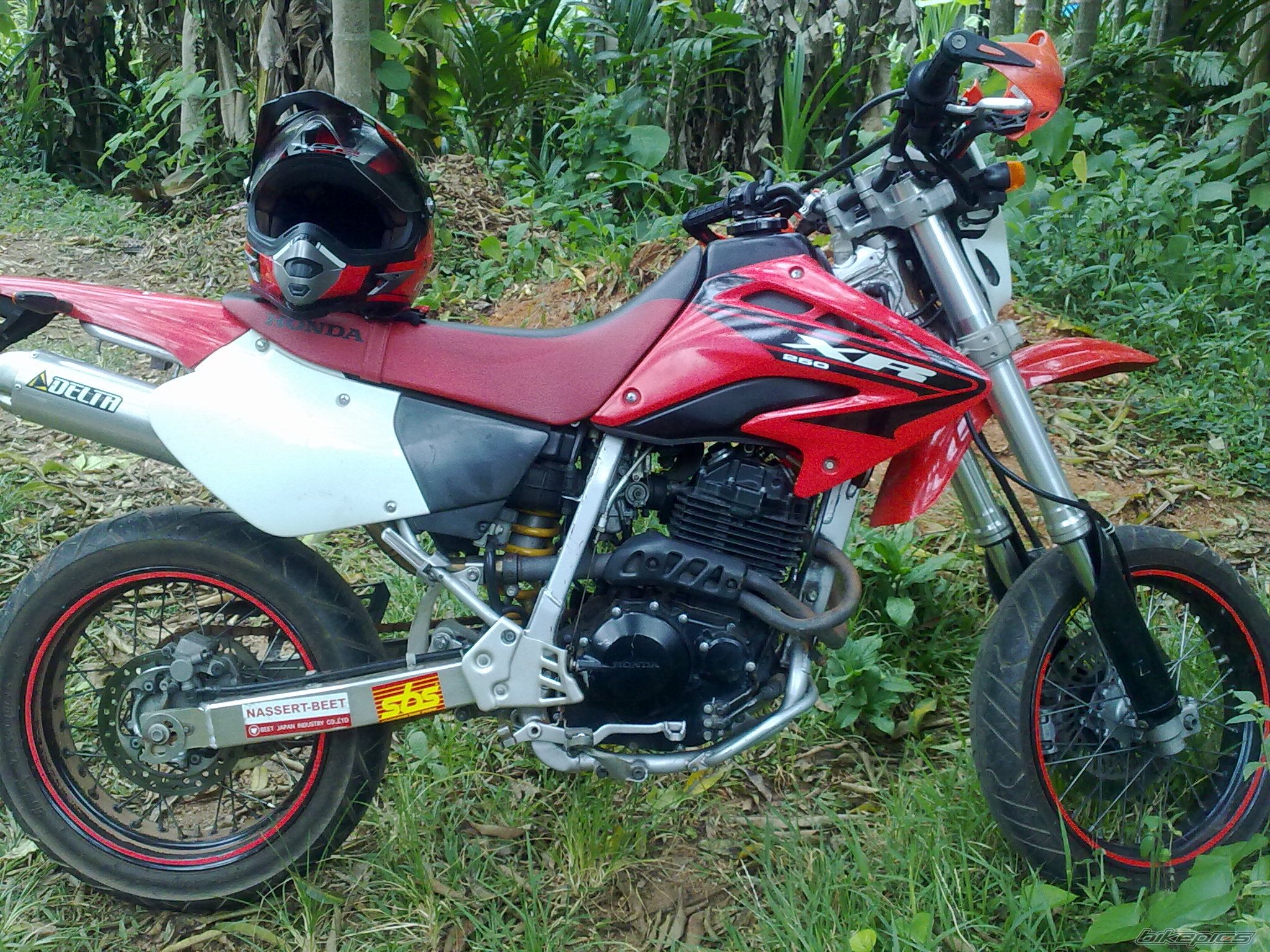 Photo 2240630