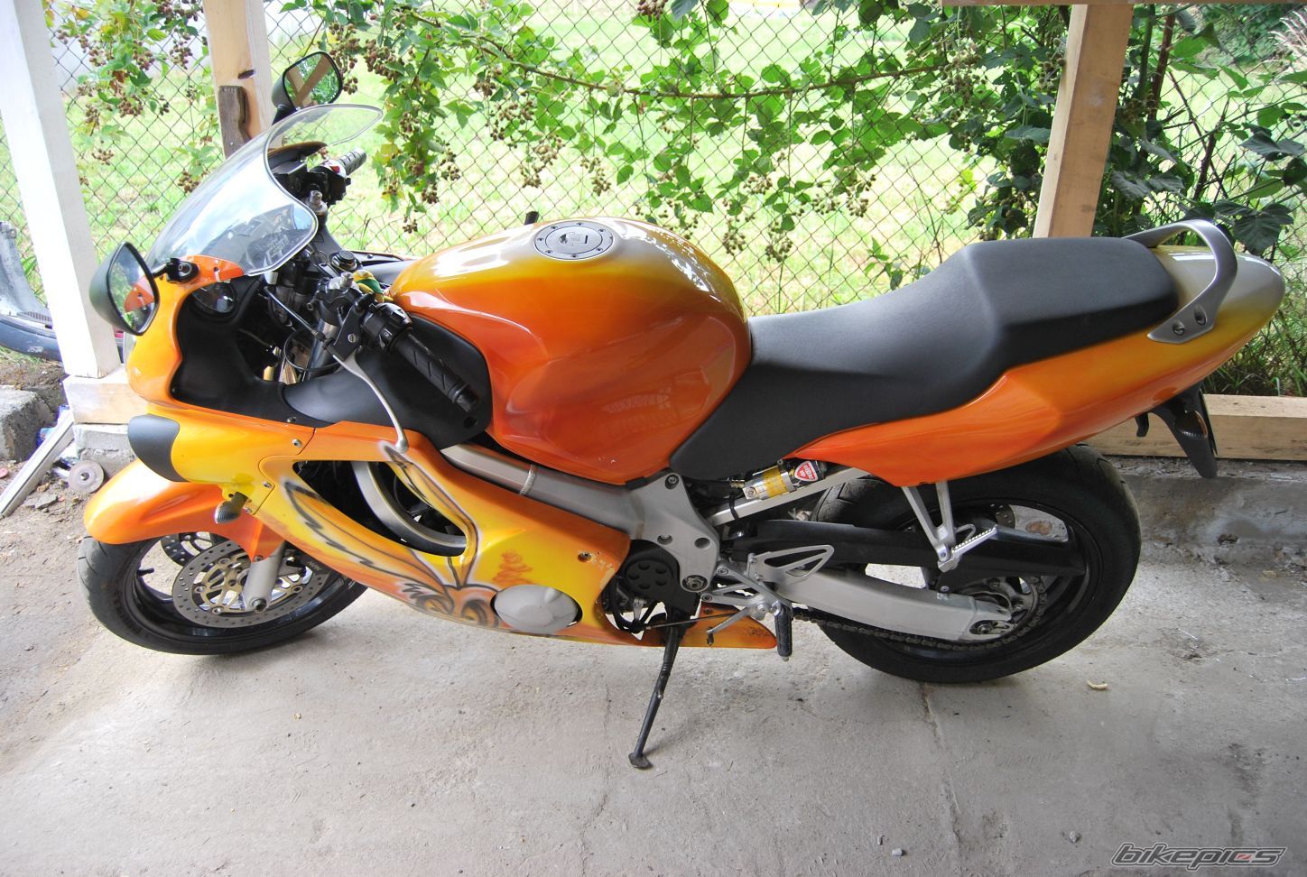 Photo 2240639