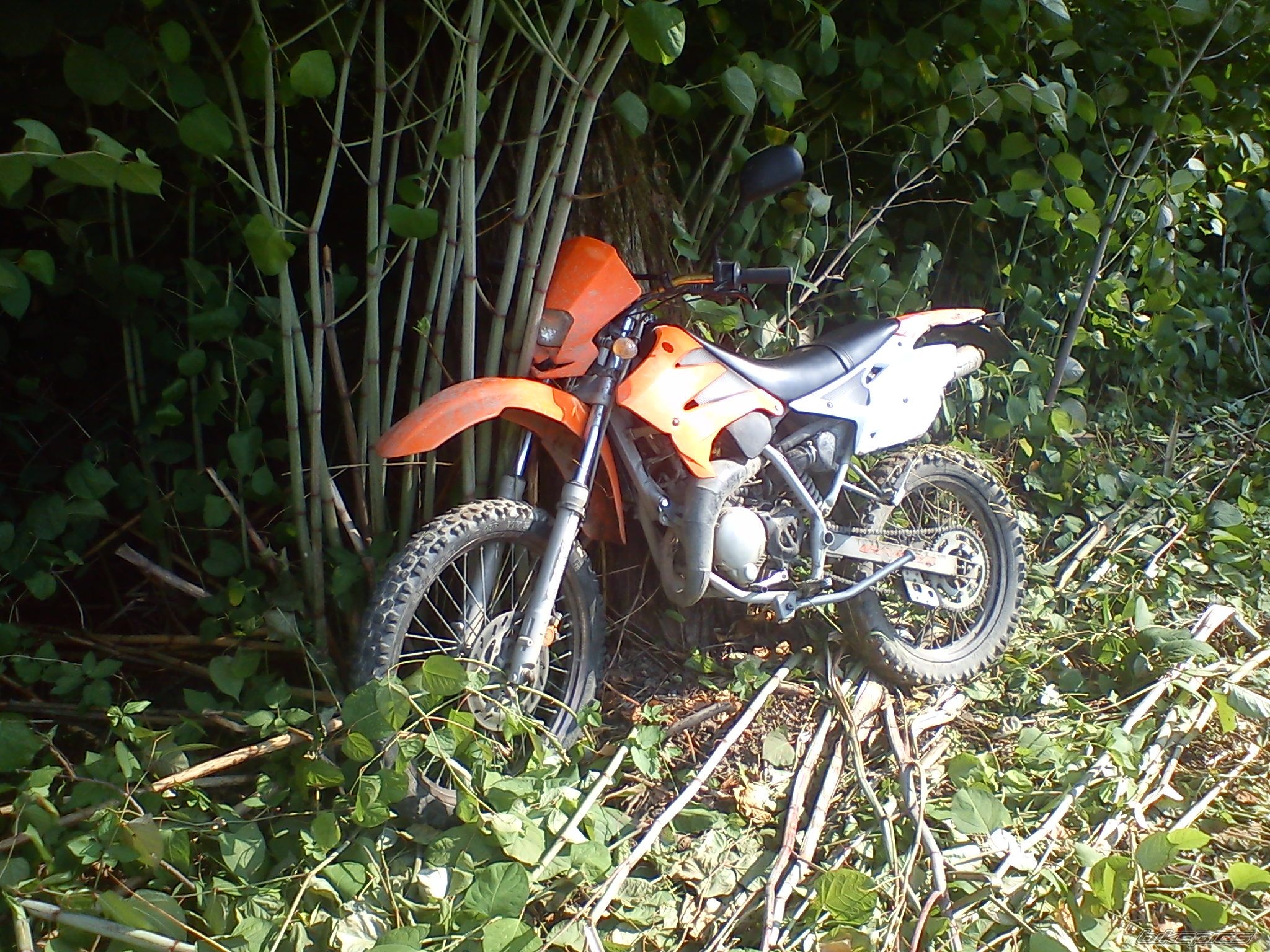 Photo 2240823