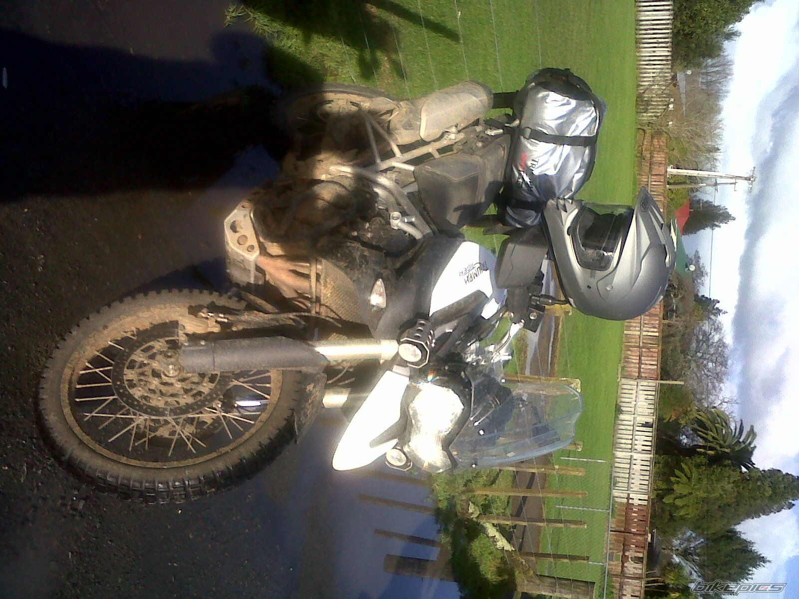 Photo 2240968