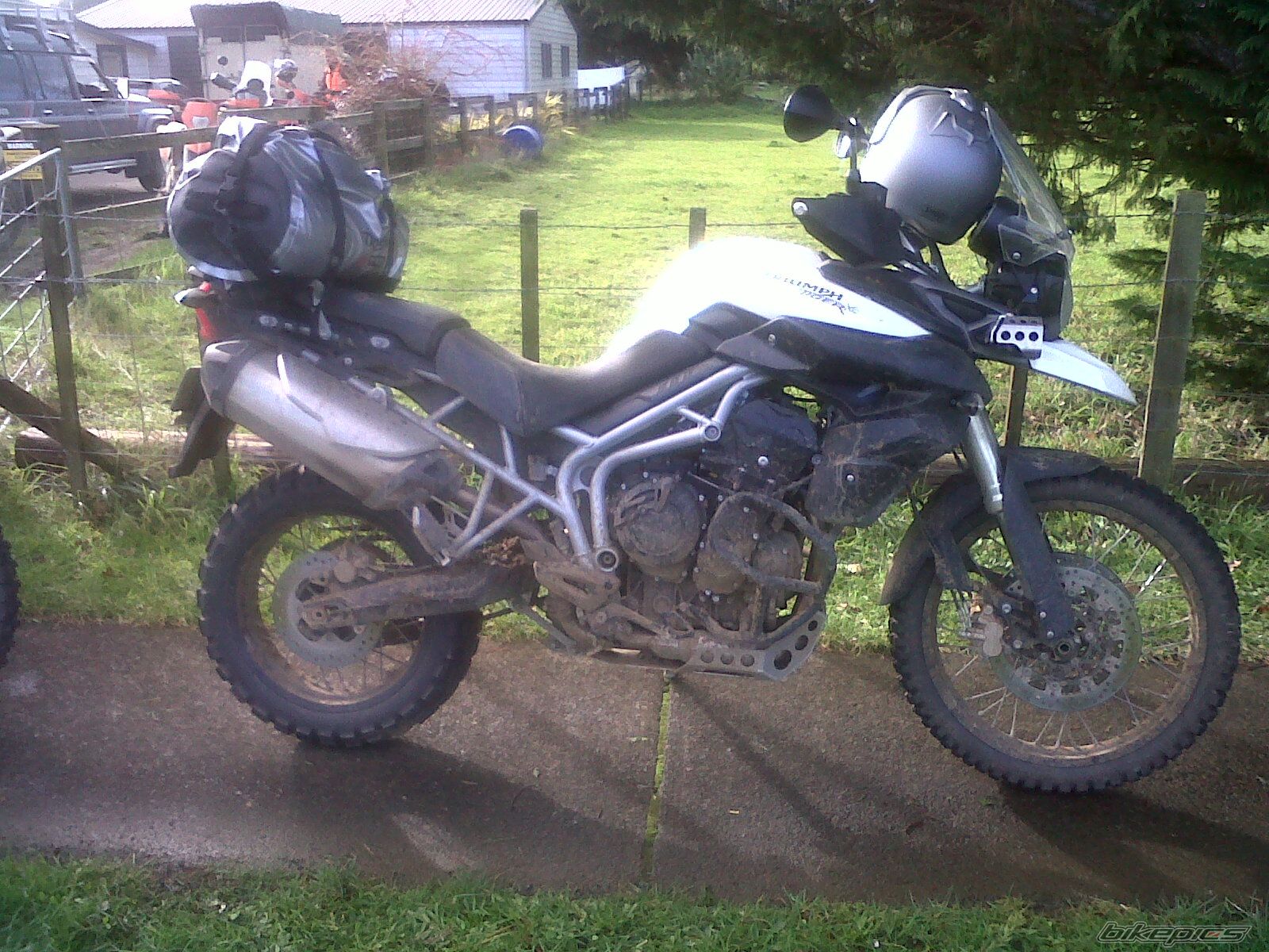 Photo 2240969