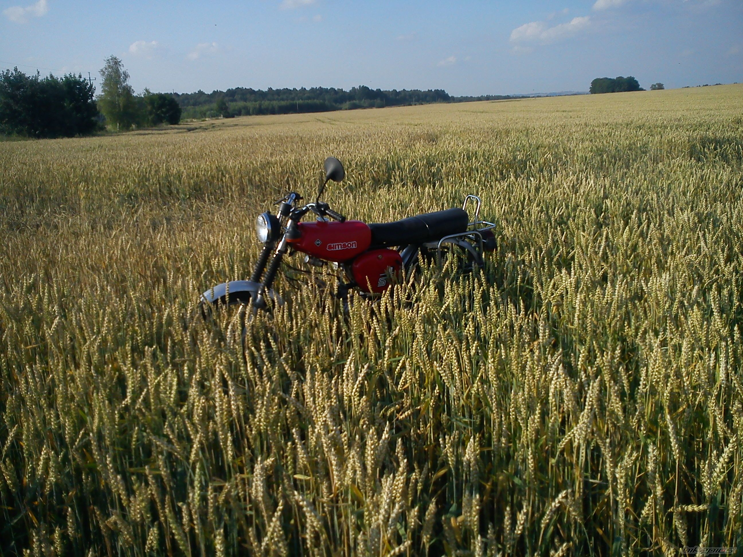 Photo 2241010