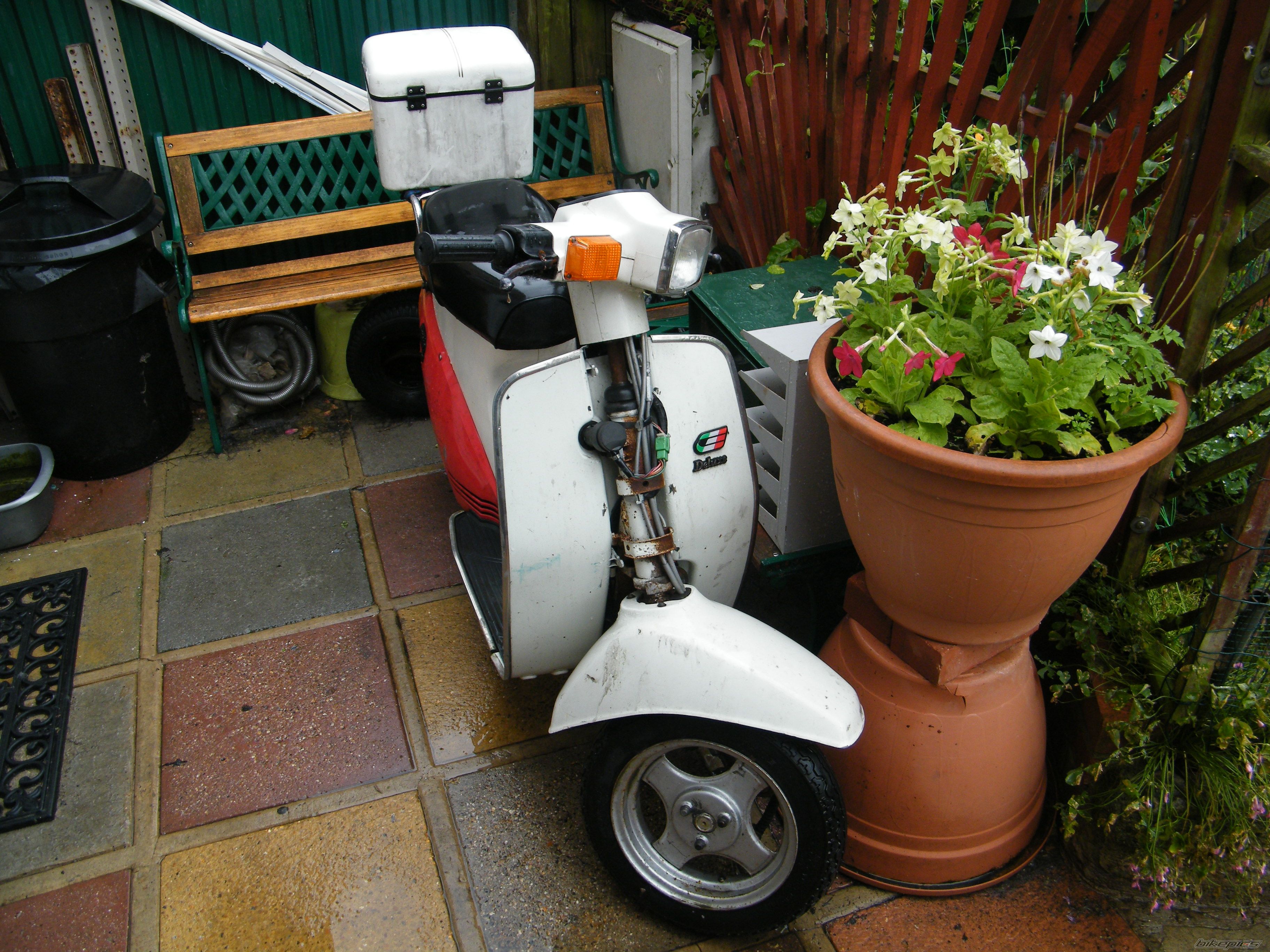 Photo 2241041