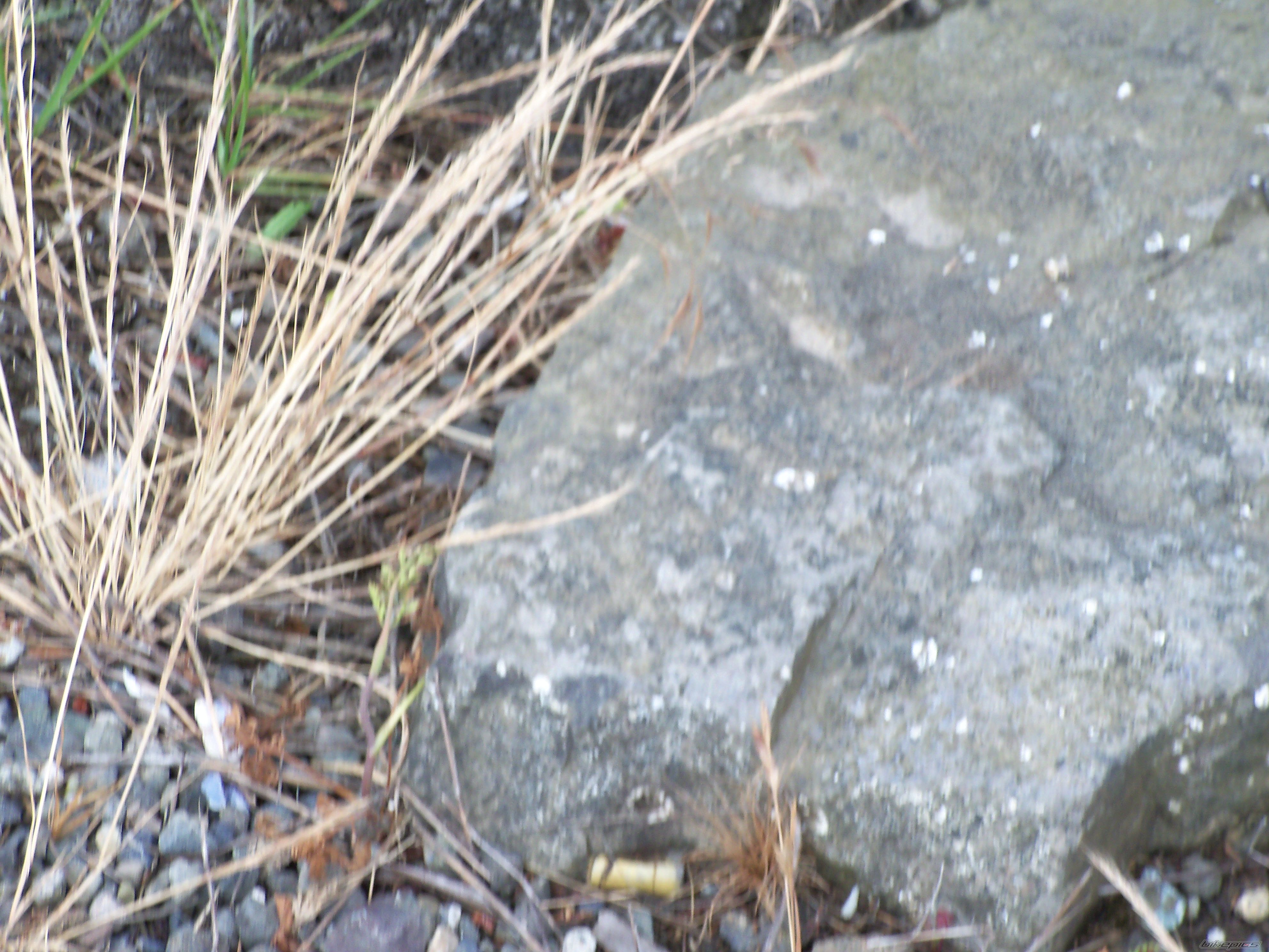 Photo 2241137