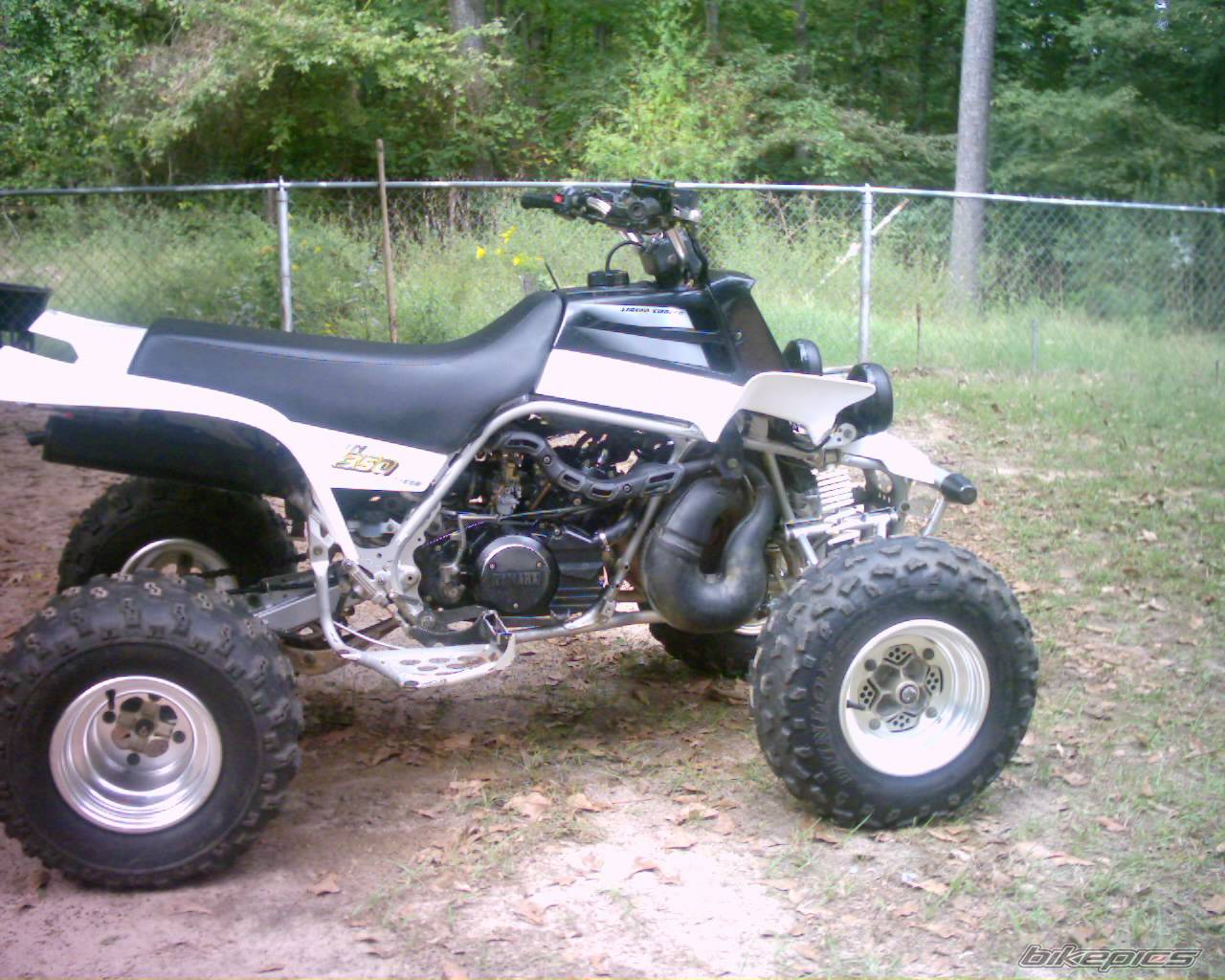 Photo 224114