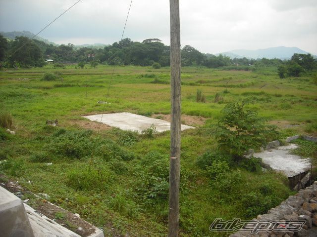 Photo 2241146
