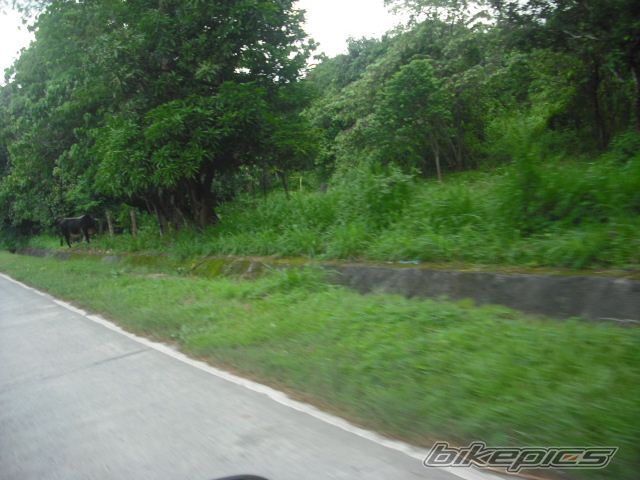 Photo 2241147