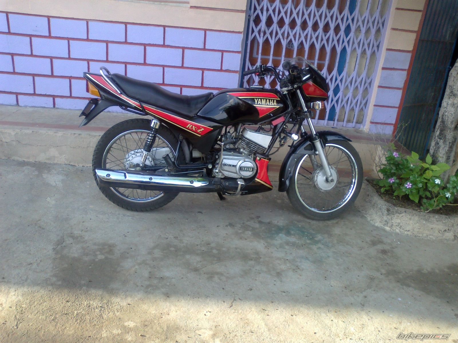 Photo 2241156