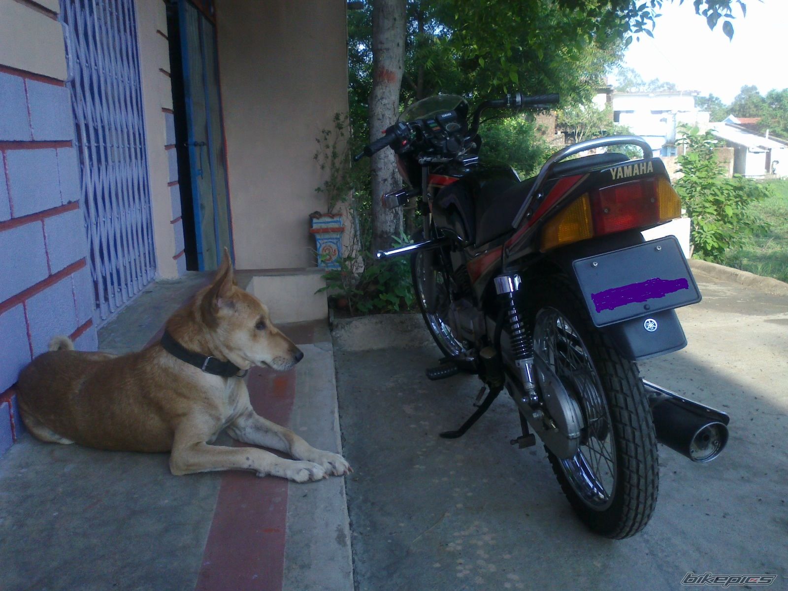 Photo 2241158