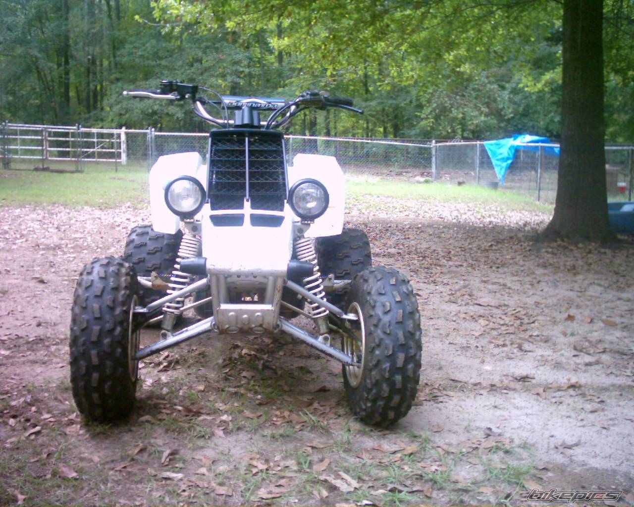 Photo 224122