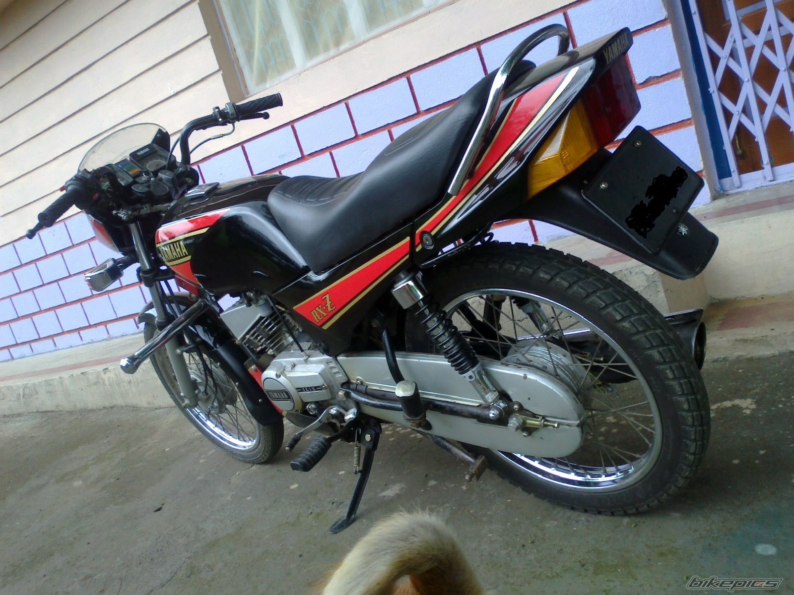 Photo 2241235