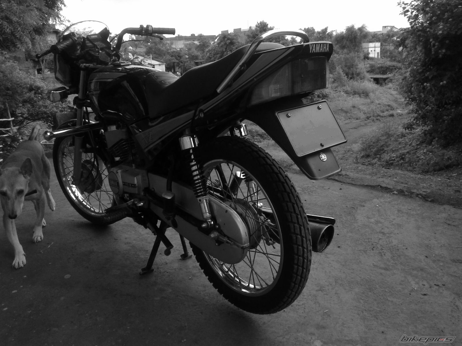 Photo 2241237