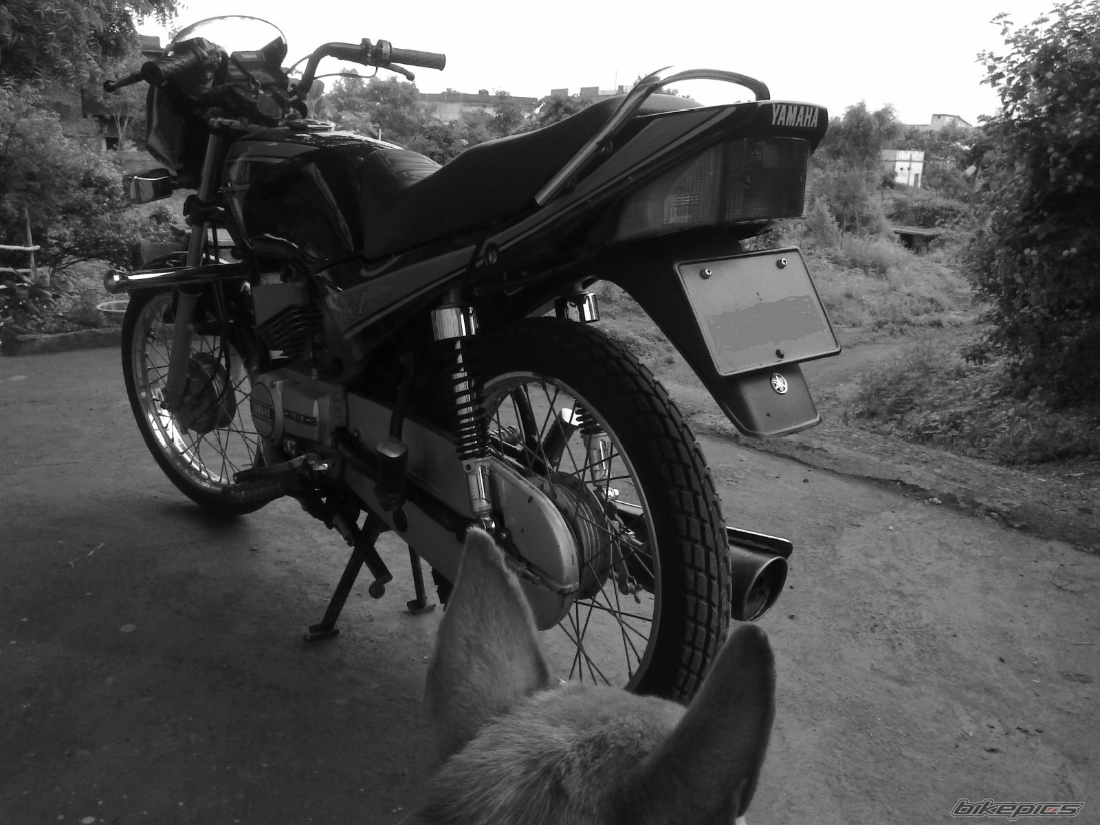 Photo 2241238