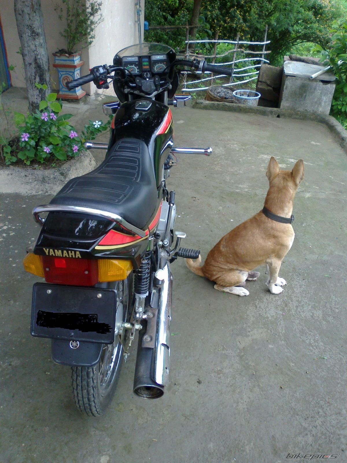 Photo 2241242