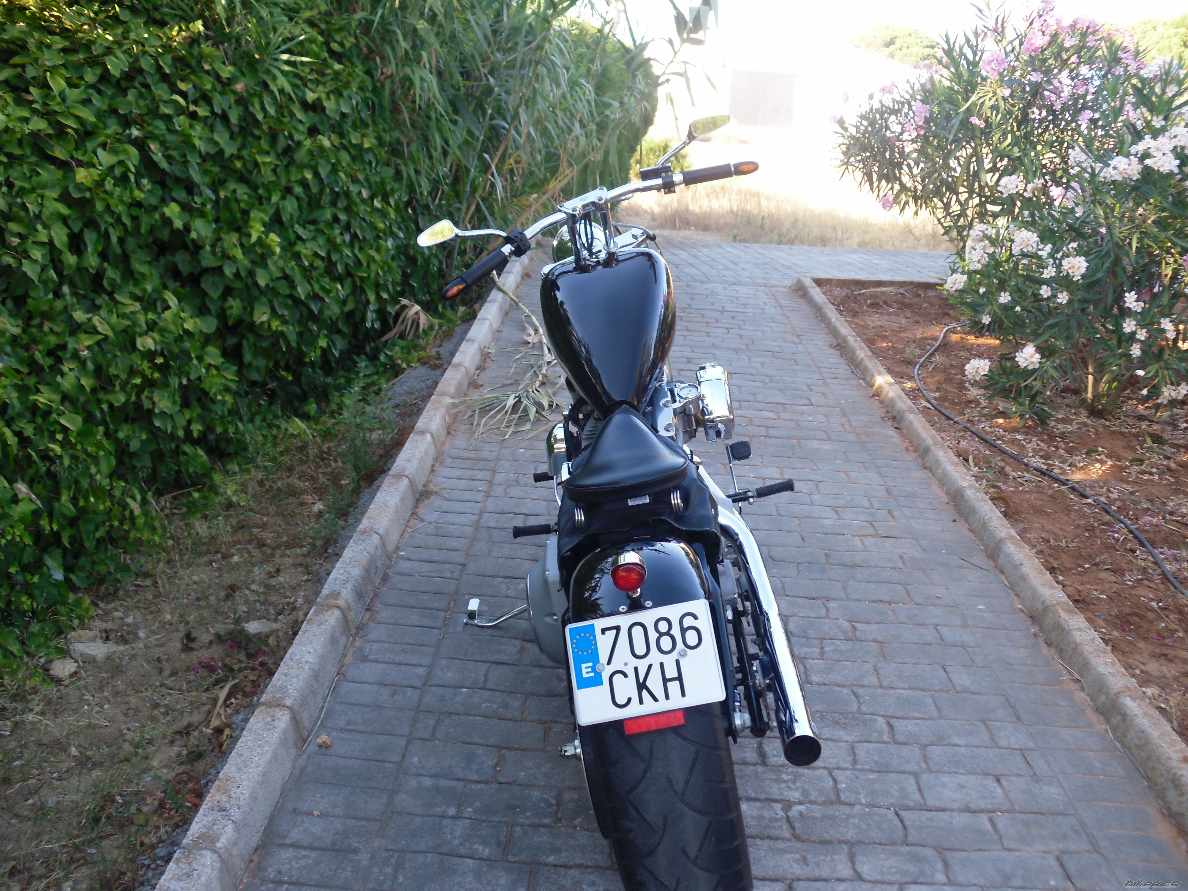 Photo 2241270