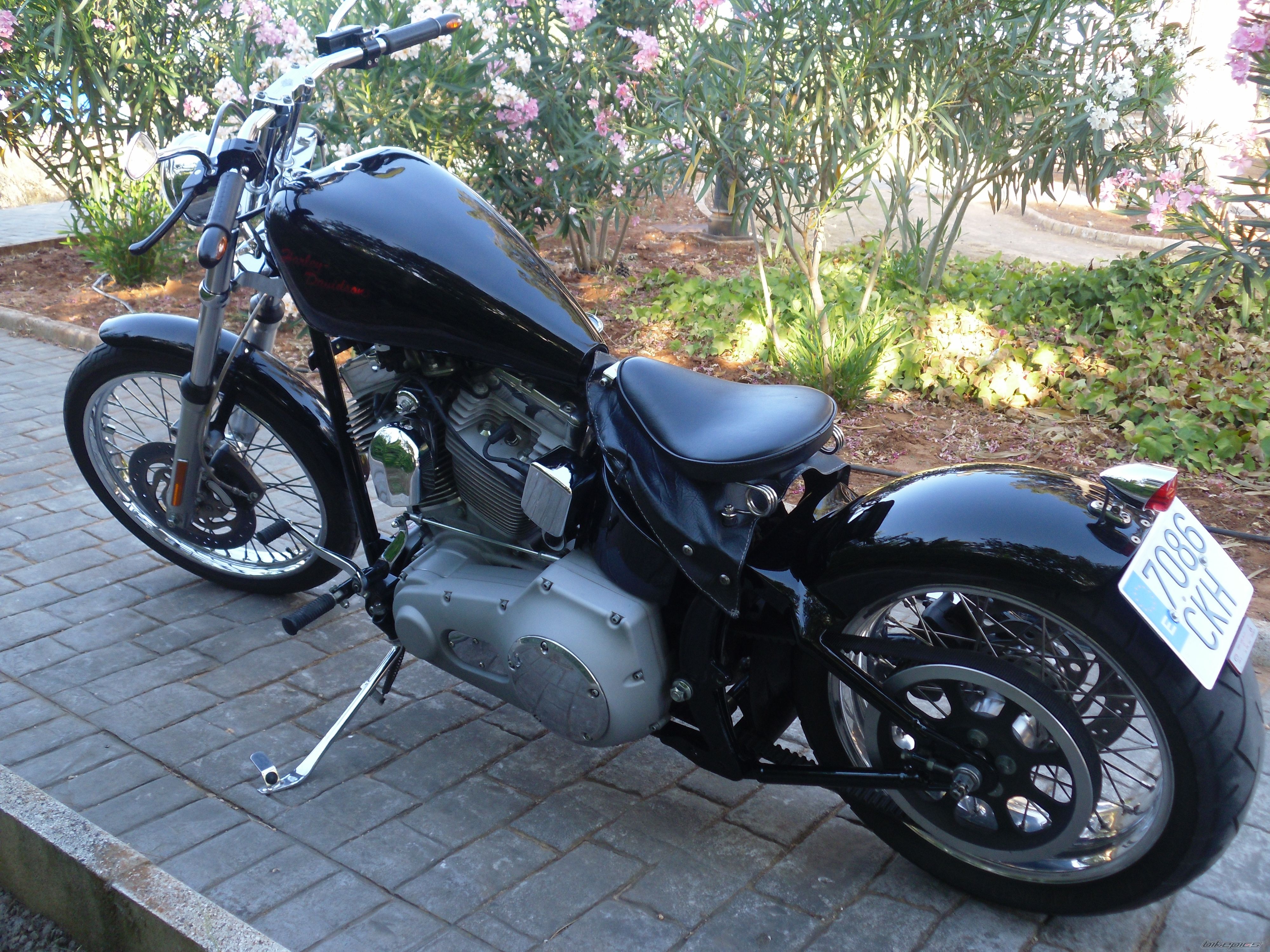 Photo 2241289
