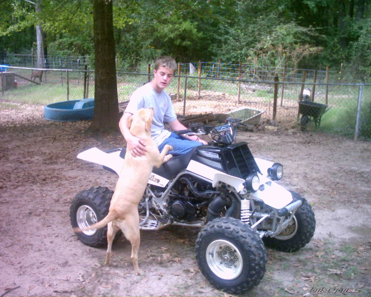 Photo 224134