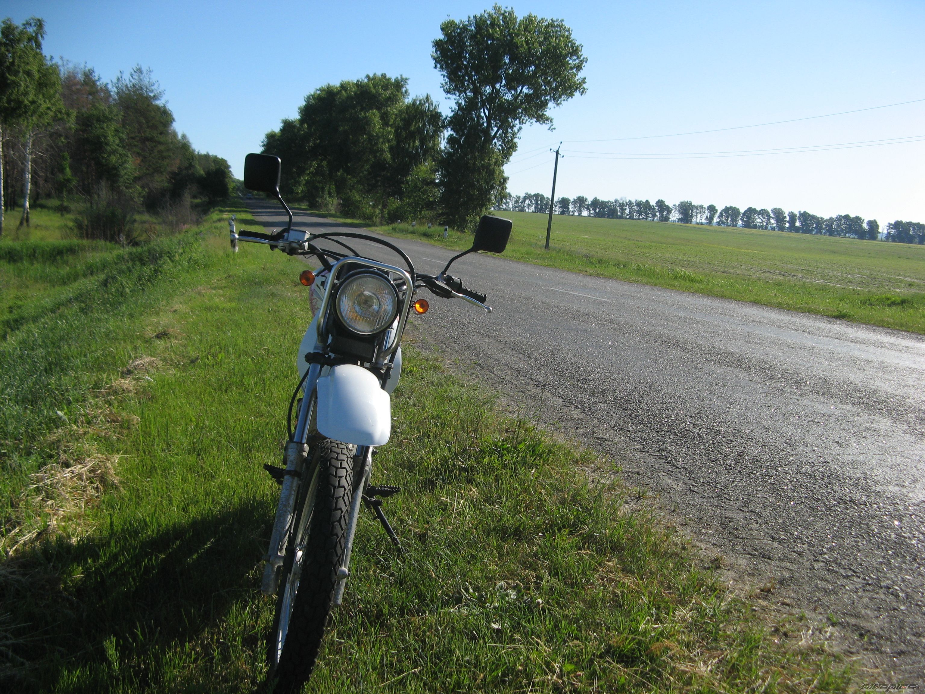 Photo 2241373