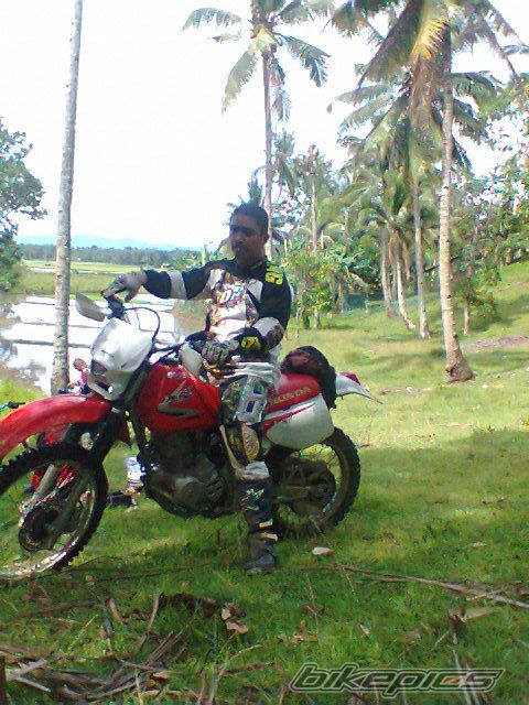 Photo 2241439