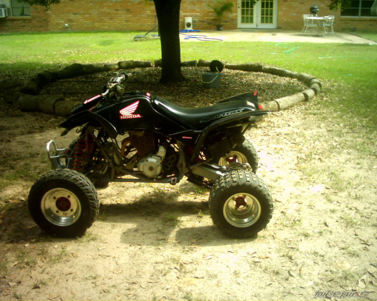Bike Photo 224161