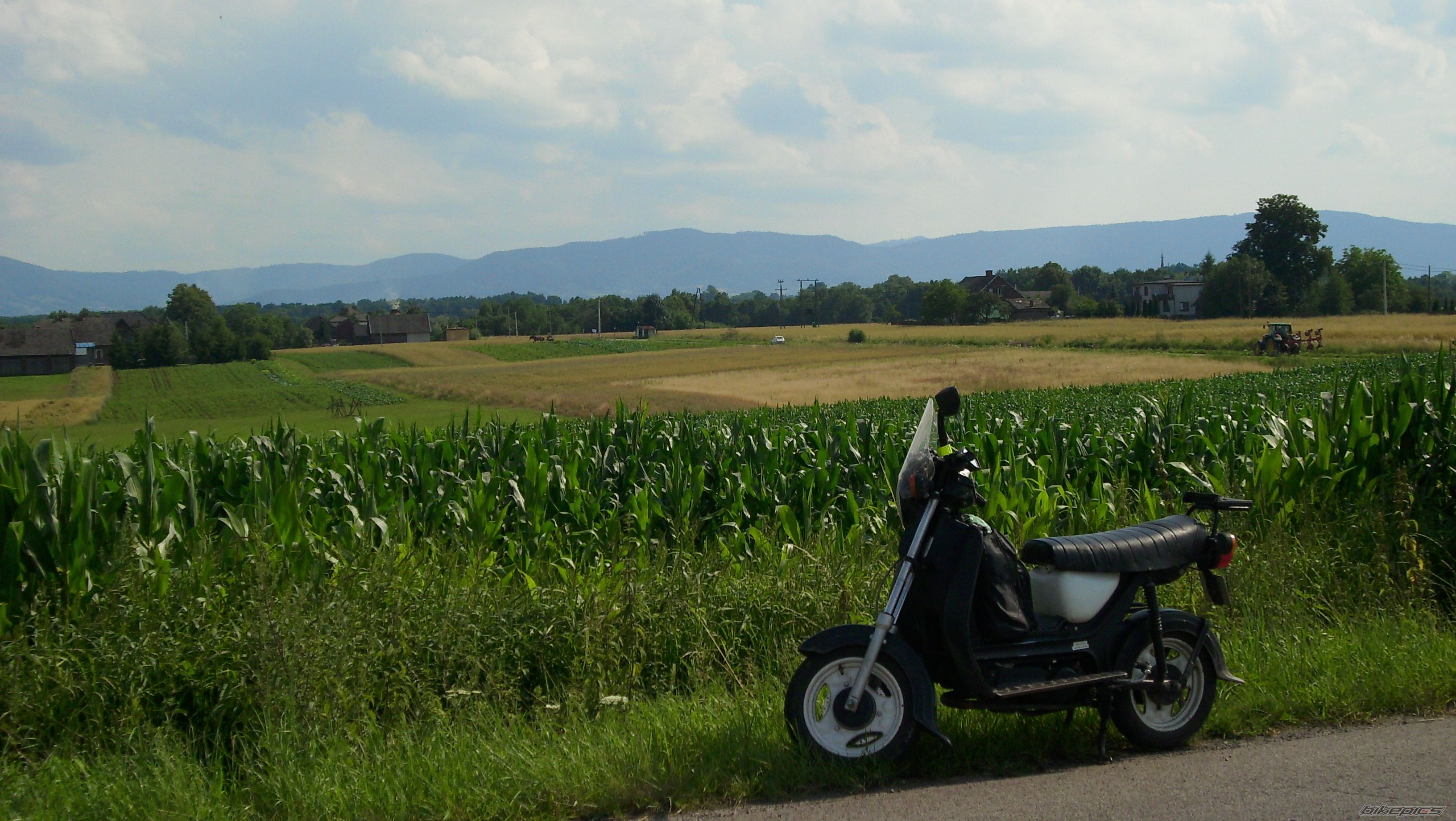 Photo 2241614