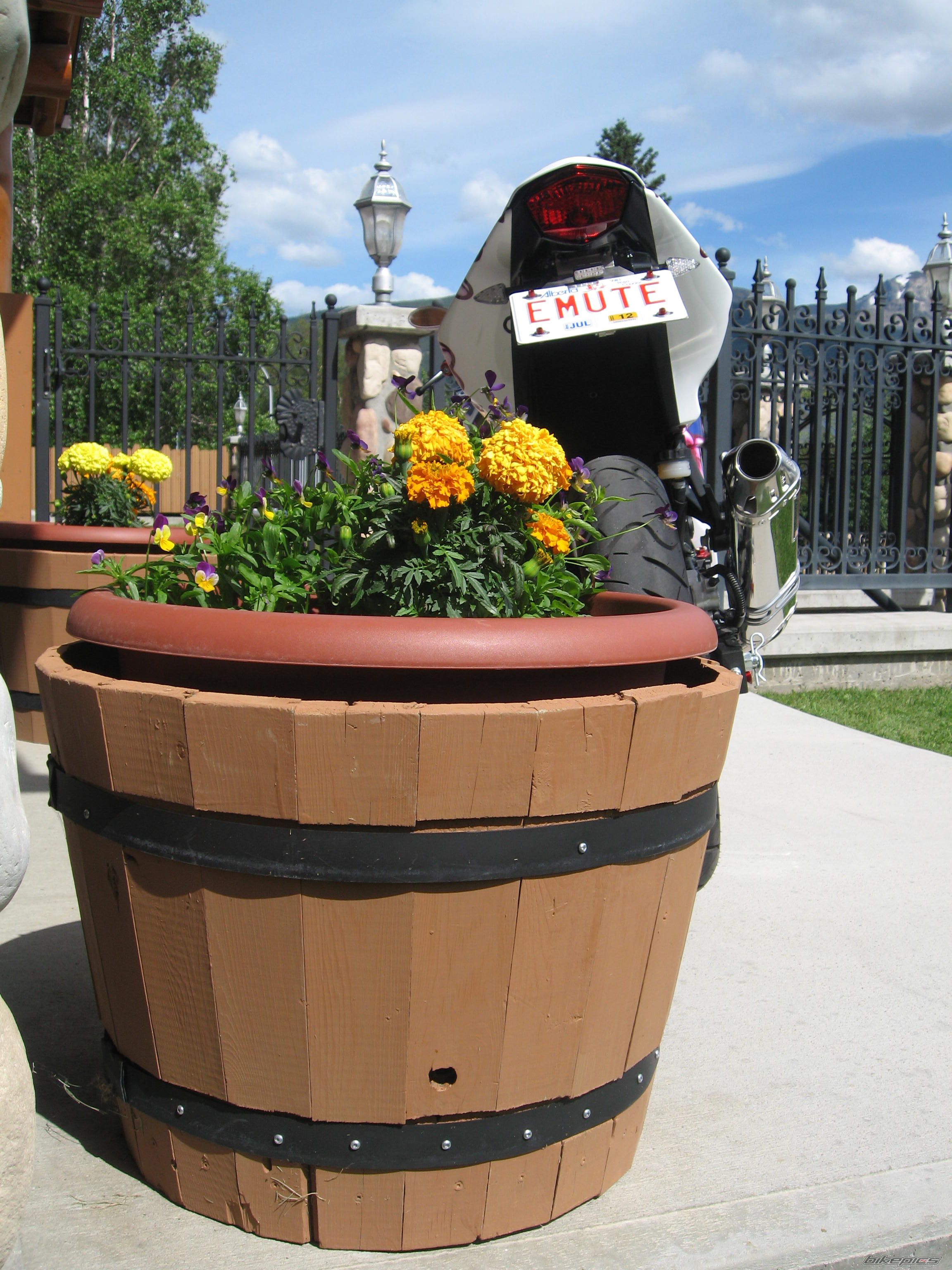 Photo 2241692