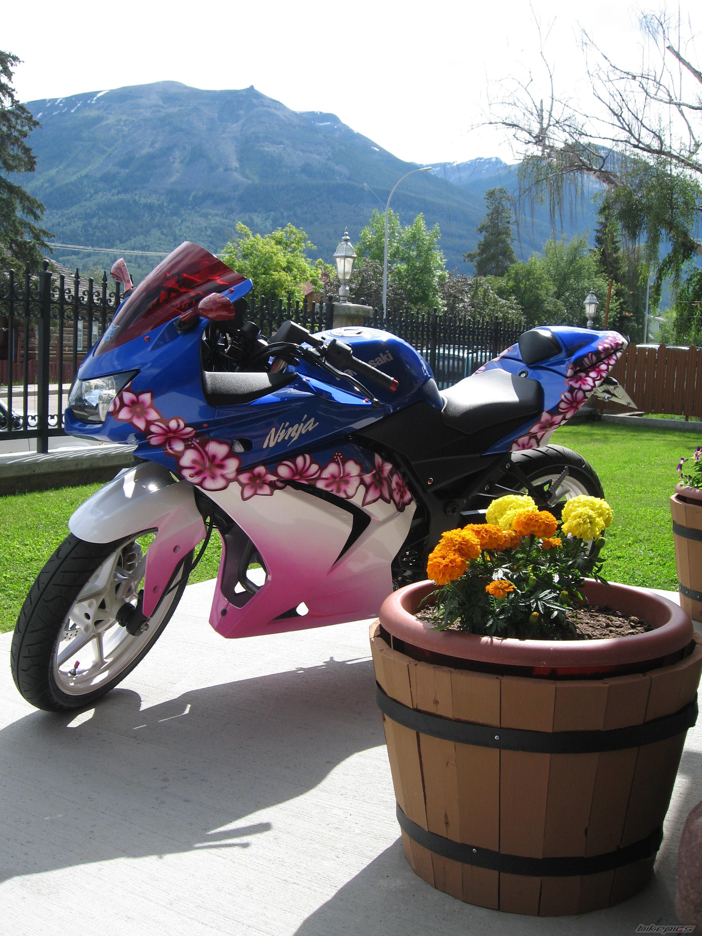 Photo 2241694