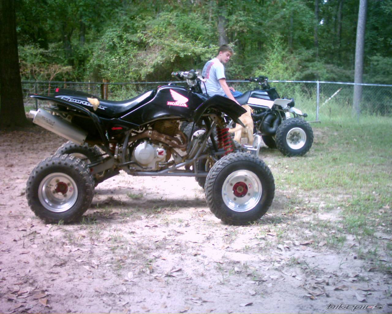 Bike Photo 224170
