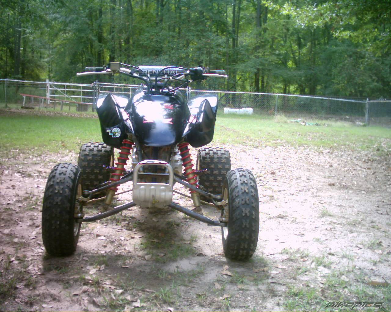Photo 224177