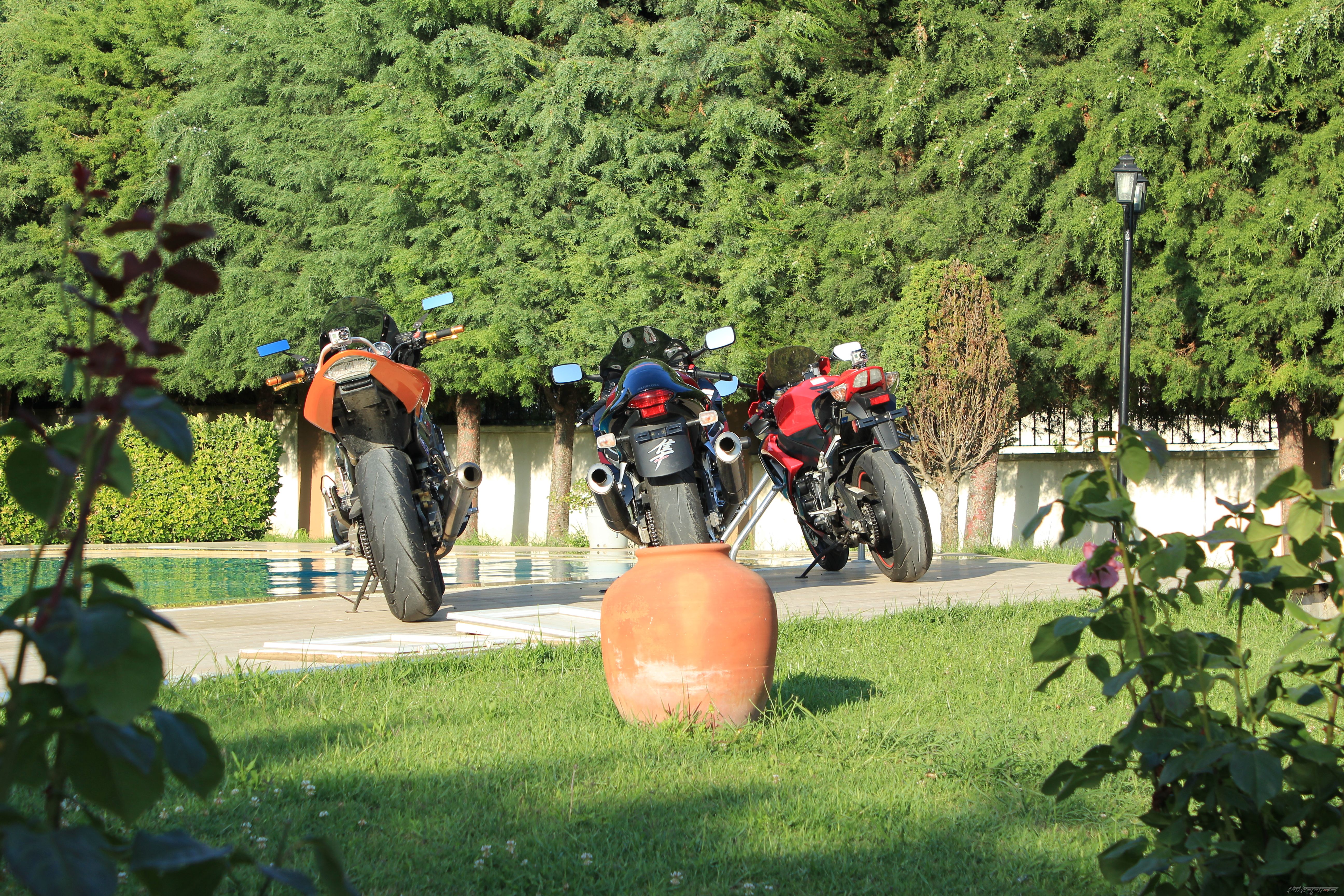 Photo 2241773