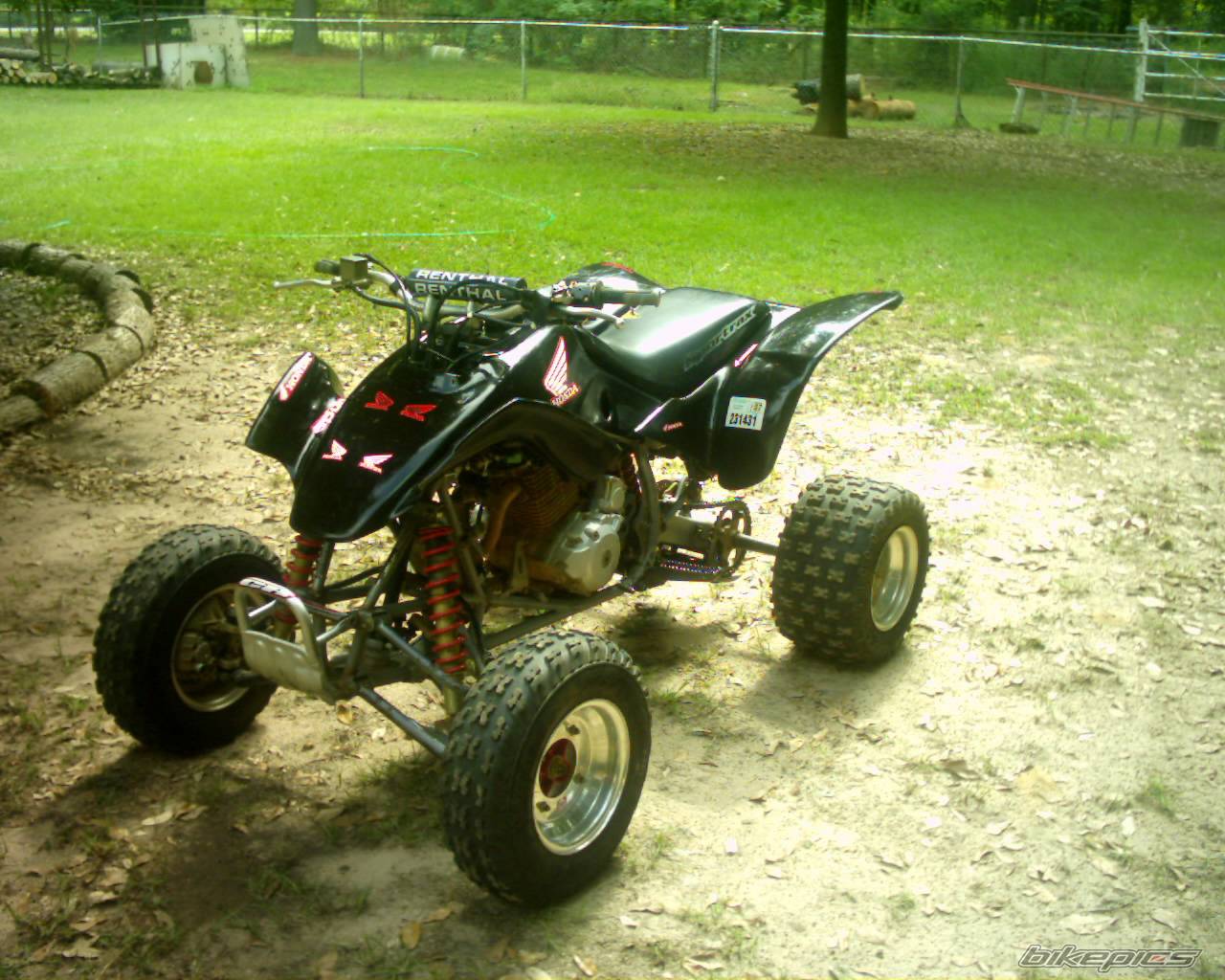 Photo 224181