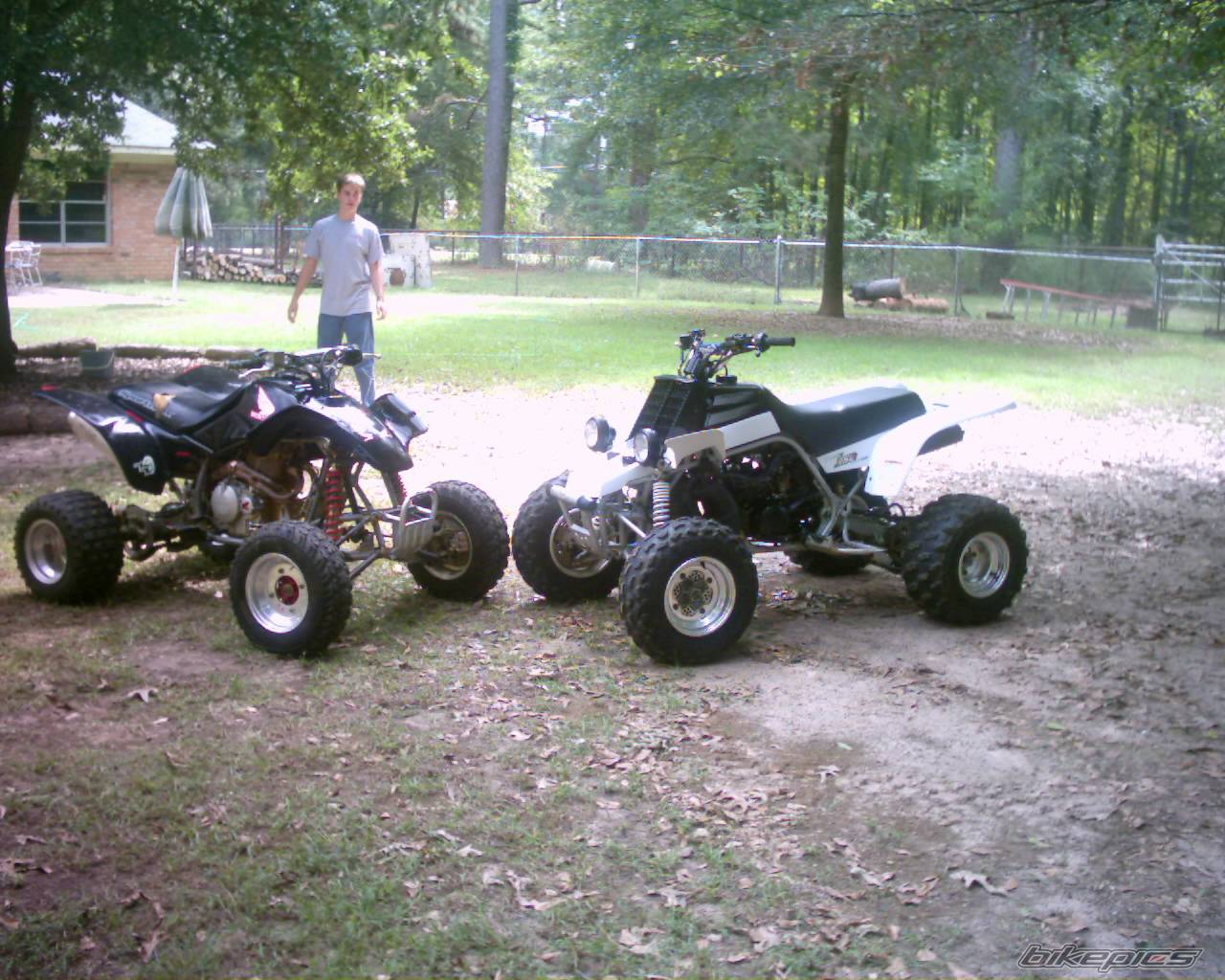 Photo 224195