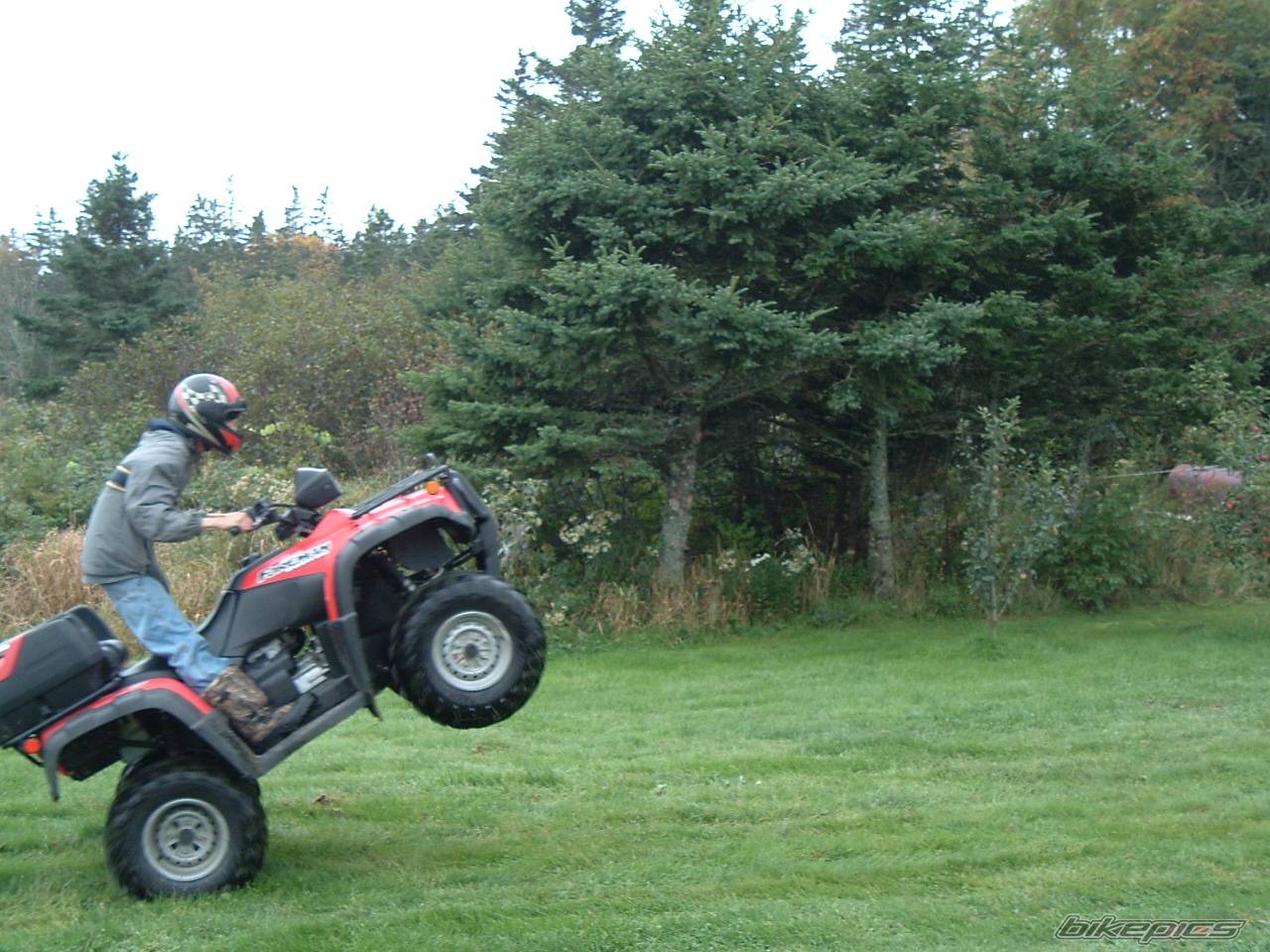 Photo 224227