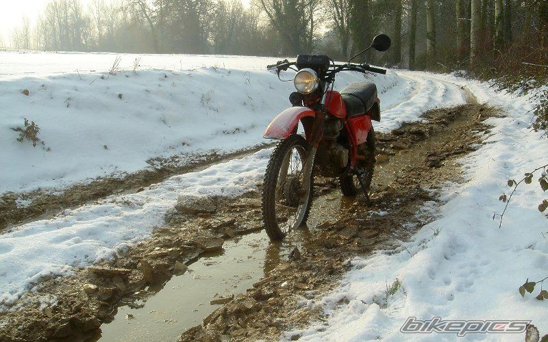 Photo 2242435