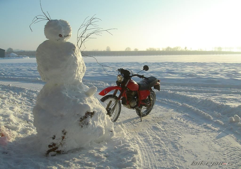 Photo 2242436